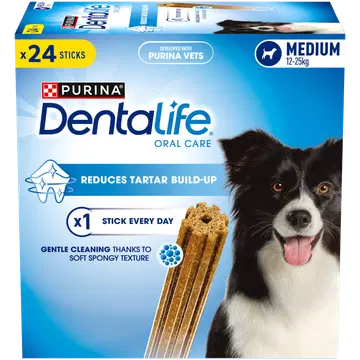 Dentalife keskmine Big Pack 24kpl