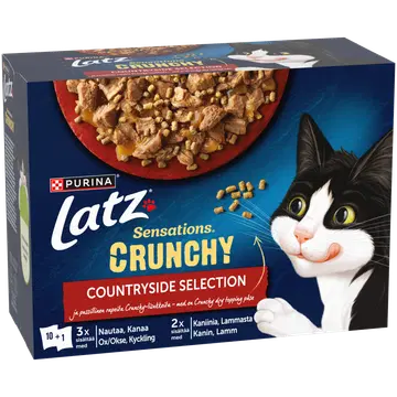 Latz Crunchy kassitoiduvalik 10x85g+40 g