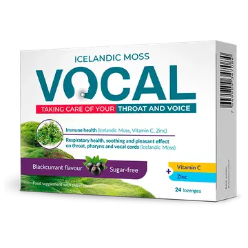 Vocal Blackcurrant imemistabletid 24 tk