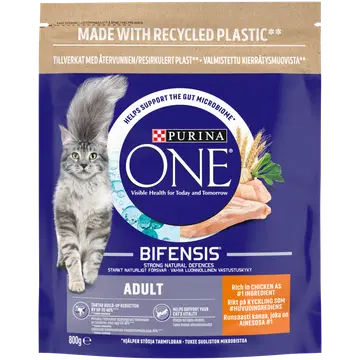 Purina One kuivtoit kassidele kanaliha ja täisteraviljaga 800 g