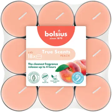 Teeküünal Bolsius 4h Virsik 18tk