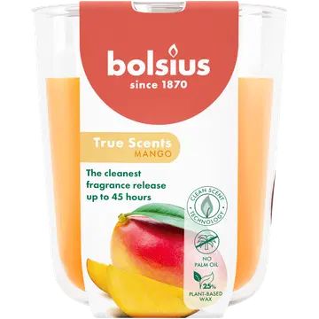 Bolsius lõhnaküünal mango 97/85