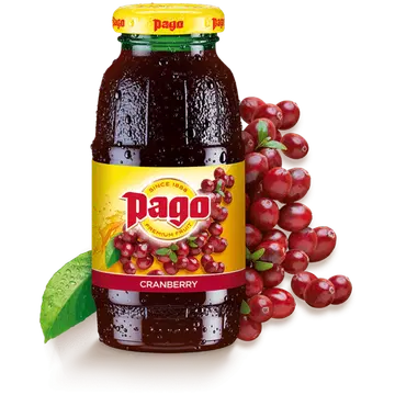 Pago jõhvikamahl 200 ml