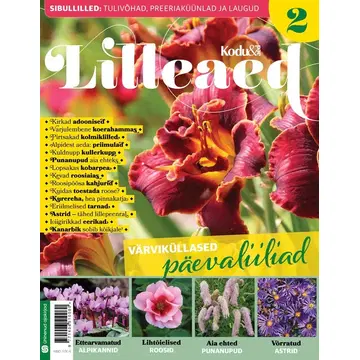 Lilleaed II