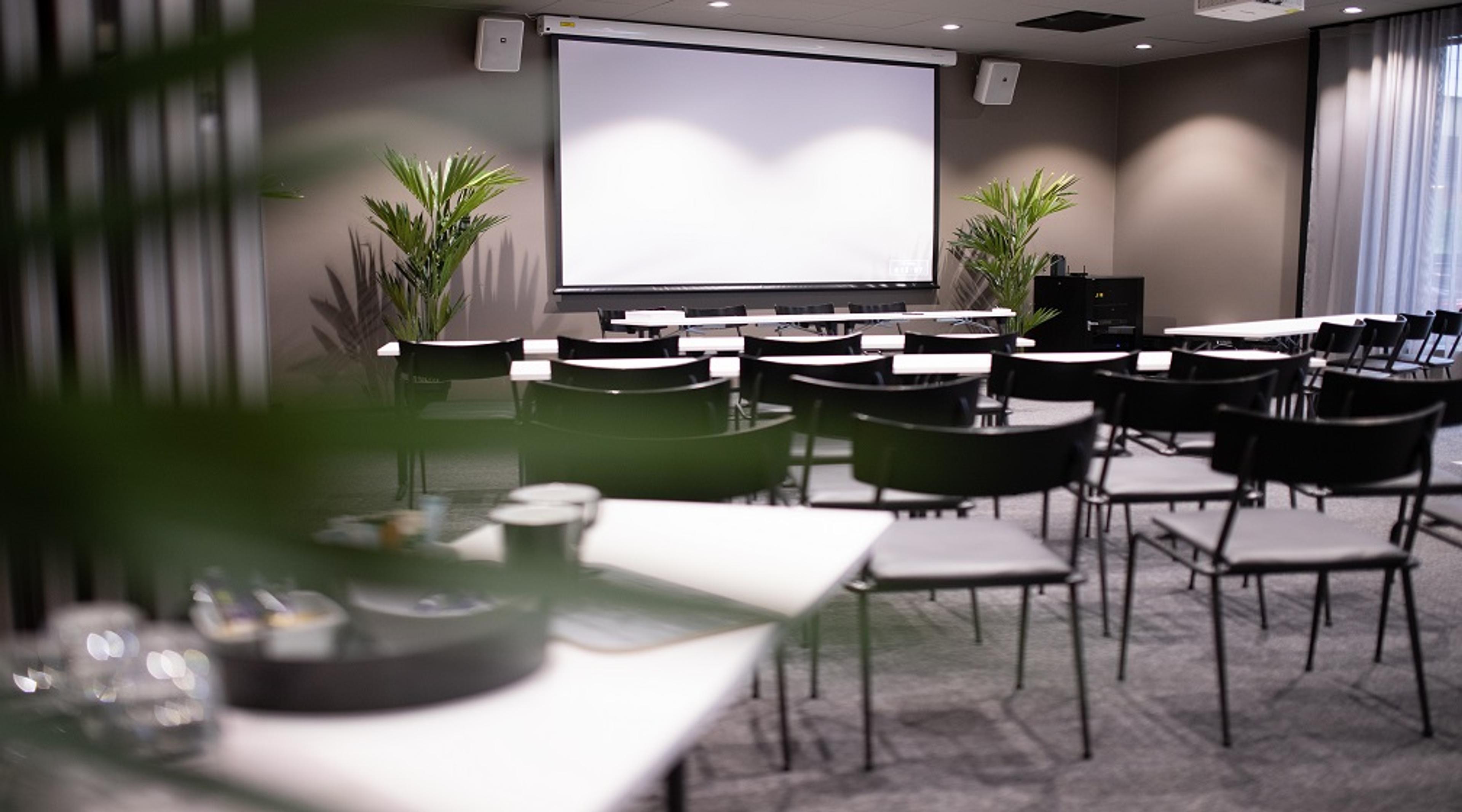 Modernt konferensrum med stolrader, vit projektorduk och gröna växter. Grå heltäckningsmatta och minimalistisk inredning.