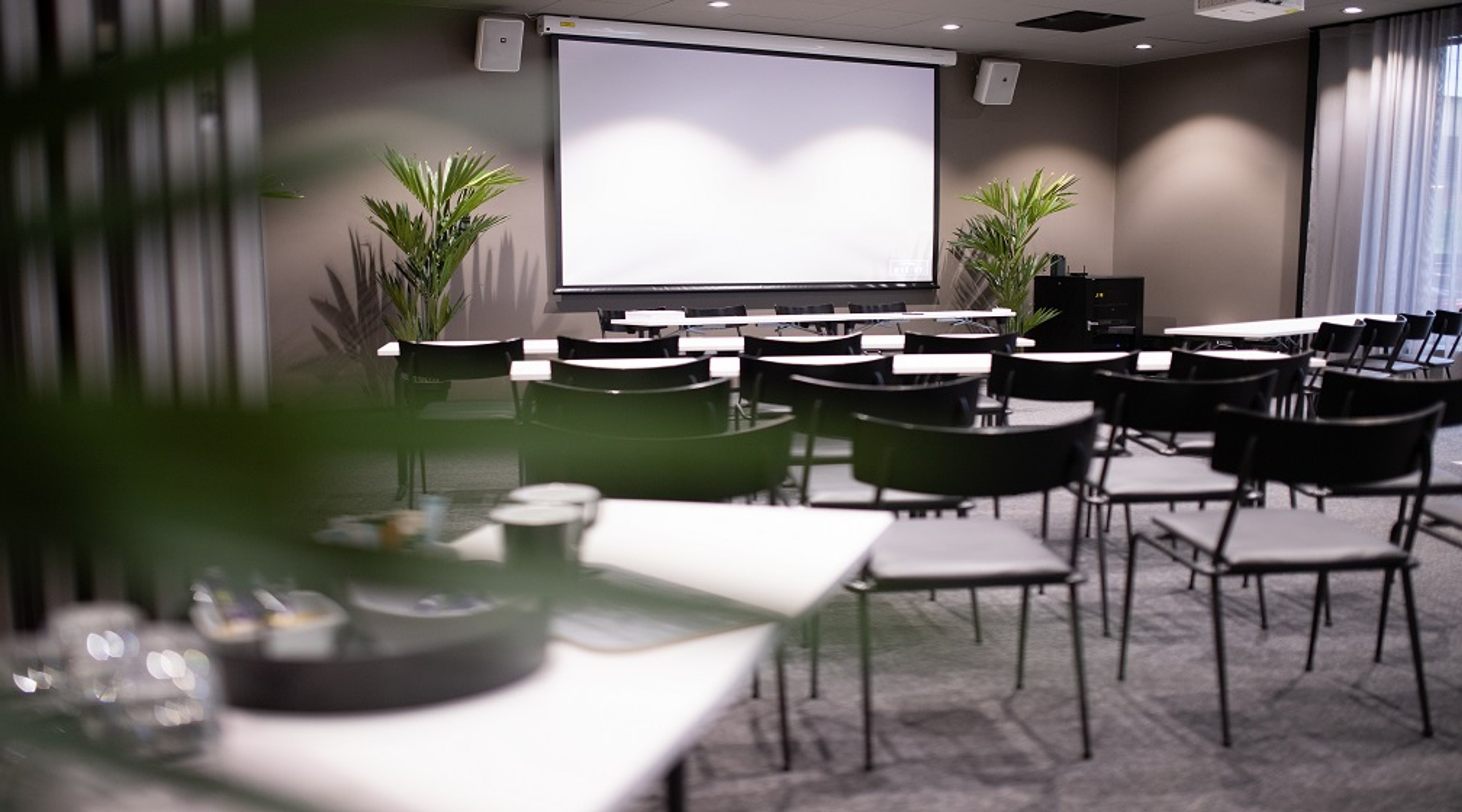 Moderni kokoustila, jossa tuolirivistöt, valkoinen projektorikangas ja viherkasveja. Harmaa kokolattiamatto ja pelkistetty sisustus.