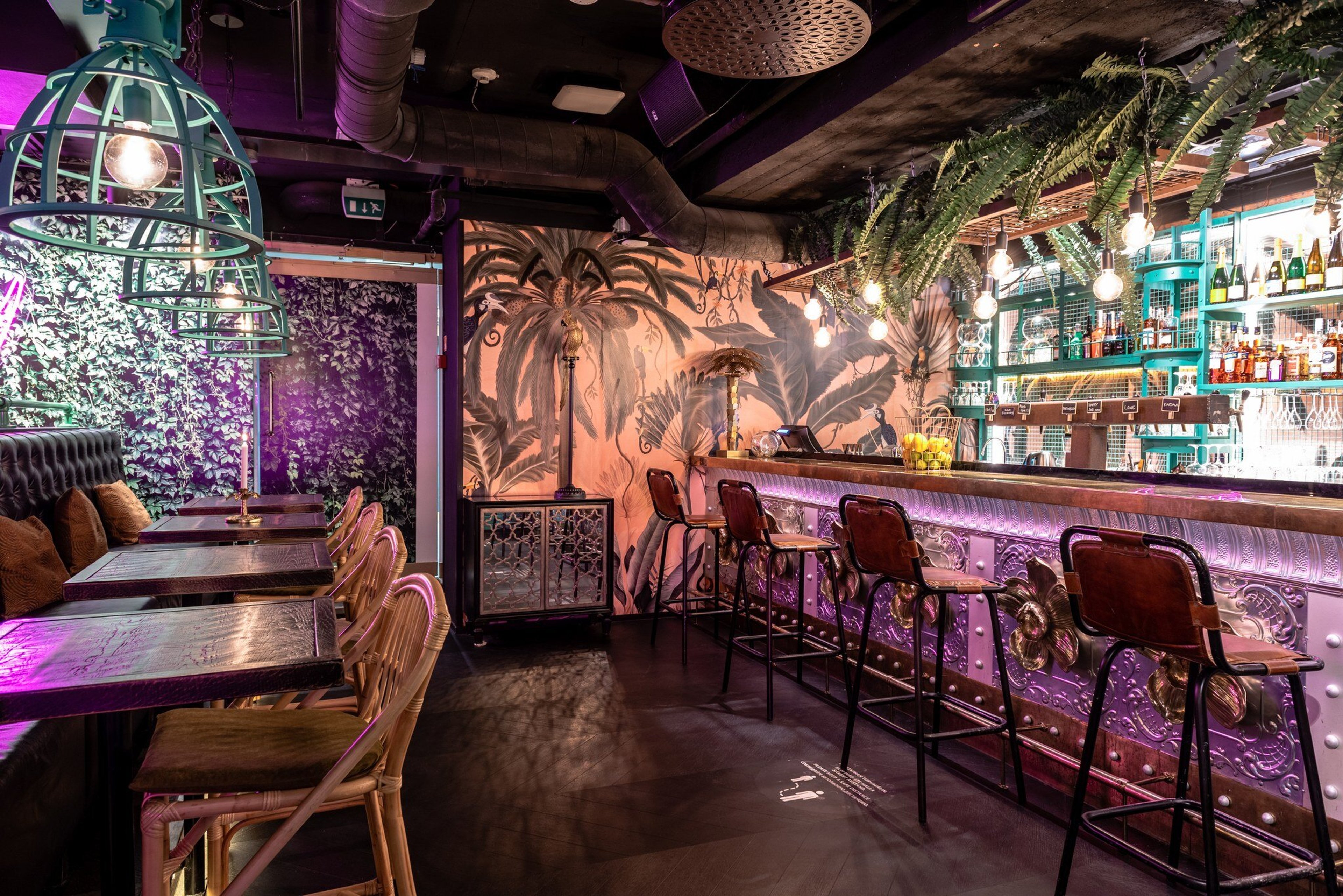Baari-ravintola, jossa on betonilattiaa, tummia baarituoleja, viherkasveja ja violettia LED-valaistusta.