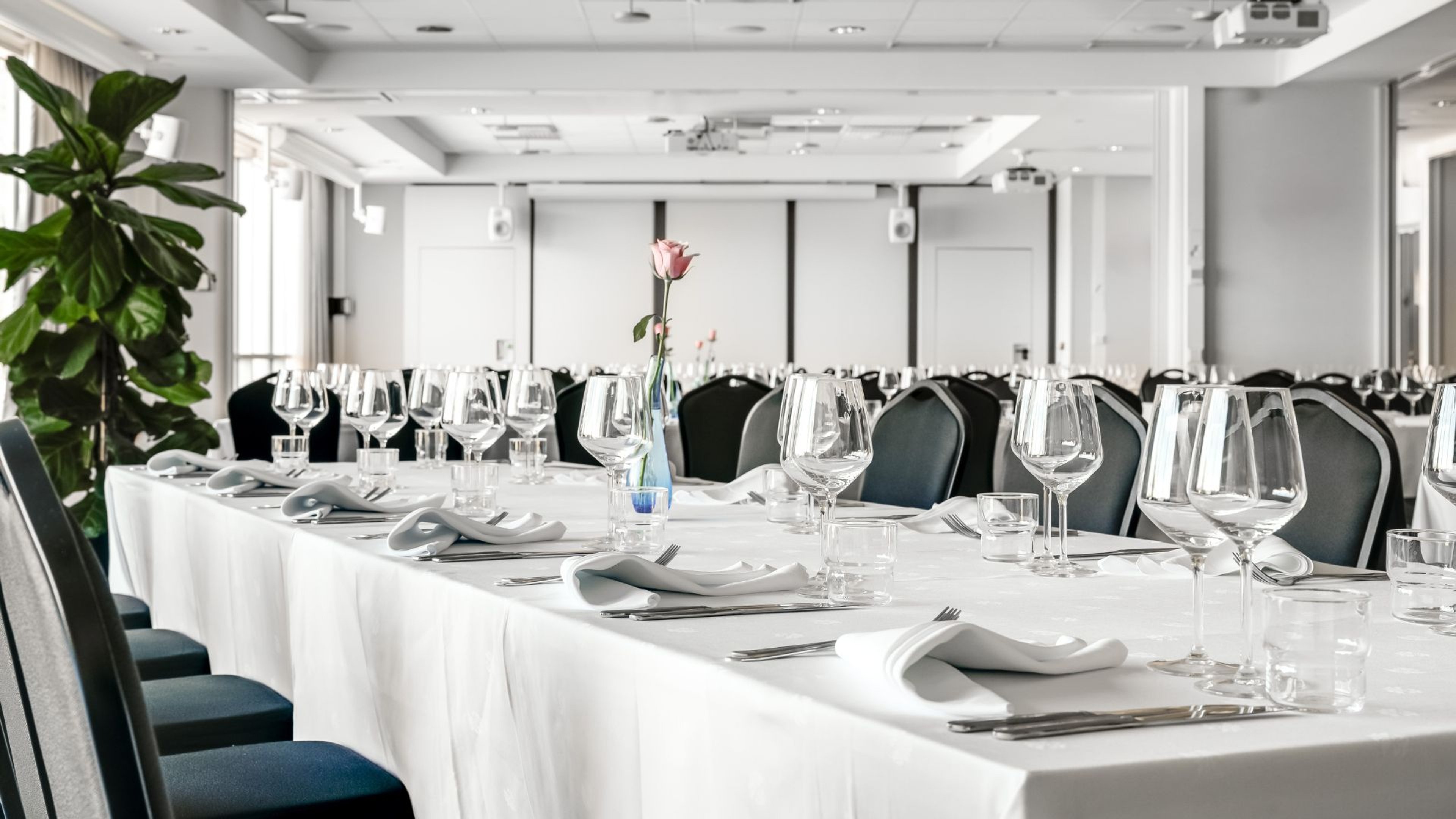 Moderni kokoustila katetuilla pöydillä, viinilaseilla ja pinkillä ruusulla keskellä. Taustalla valkoinen esitysseinä ja viherkasvi.