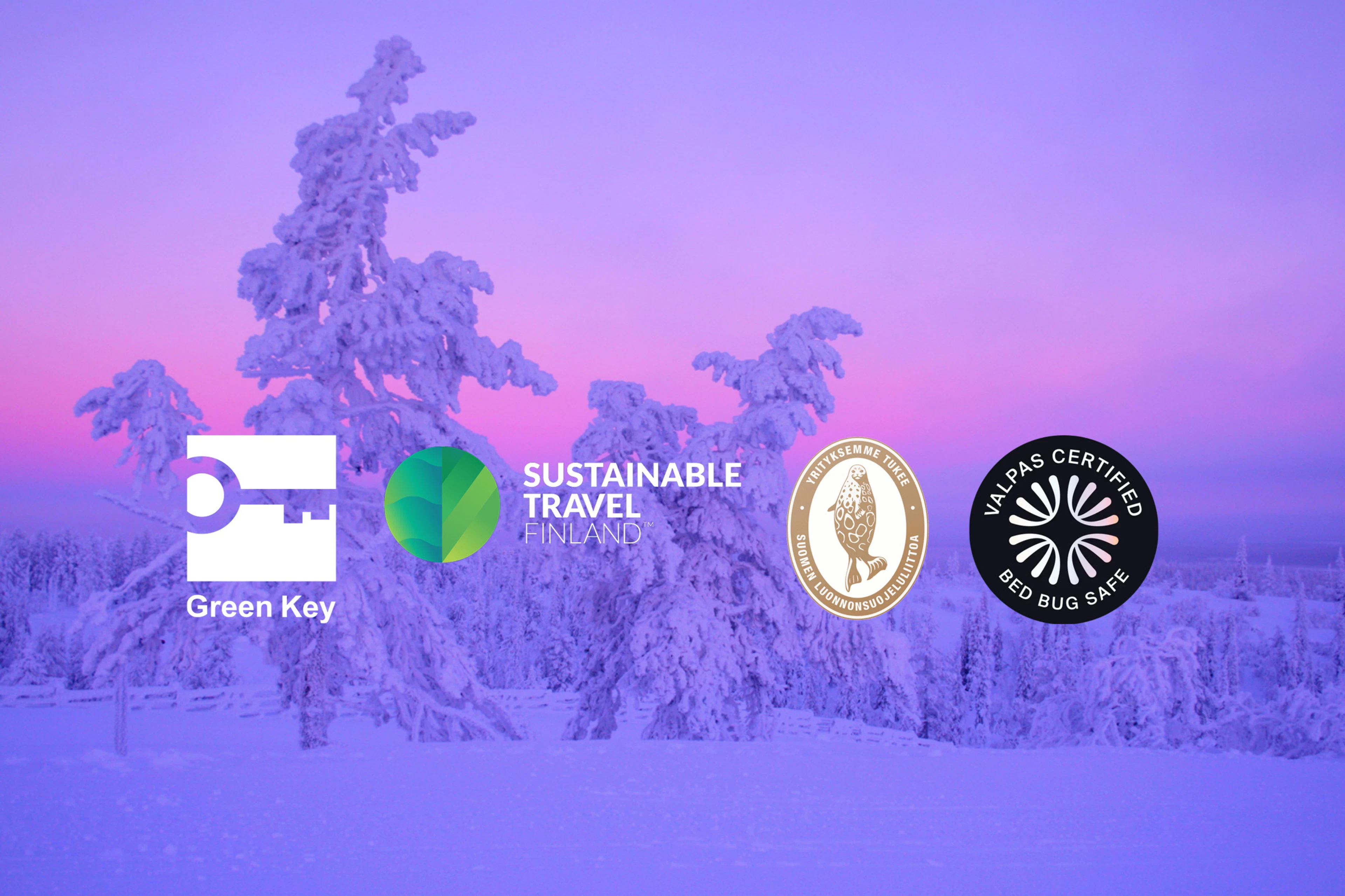 Levi on rakas. Vastuullisuus Break Sokos Hotel Levillä.