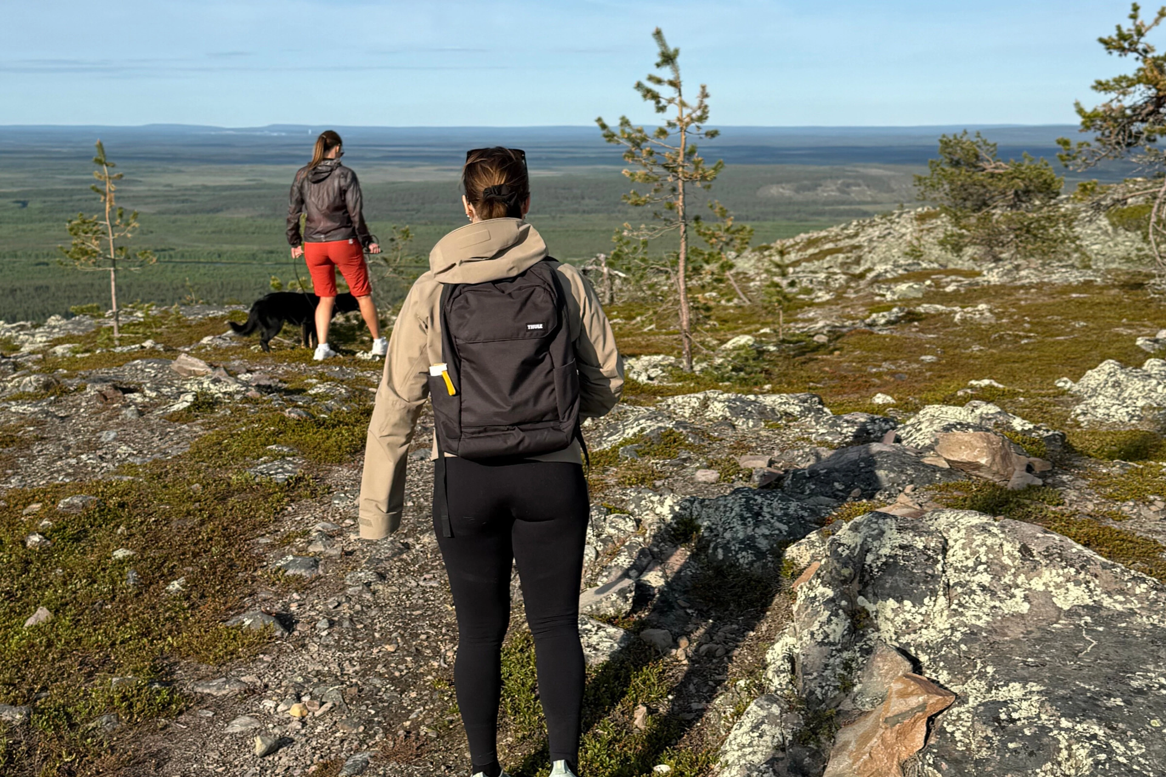 kesätarjous levi