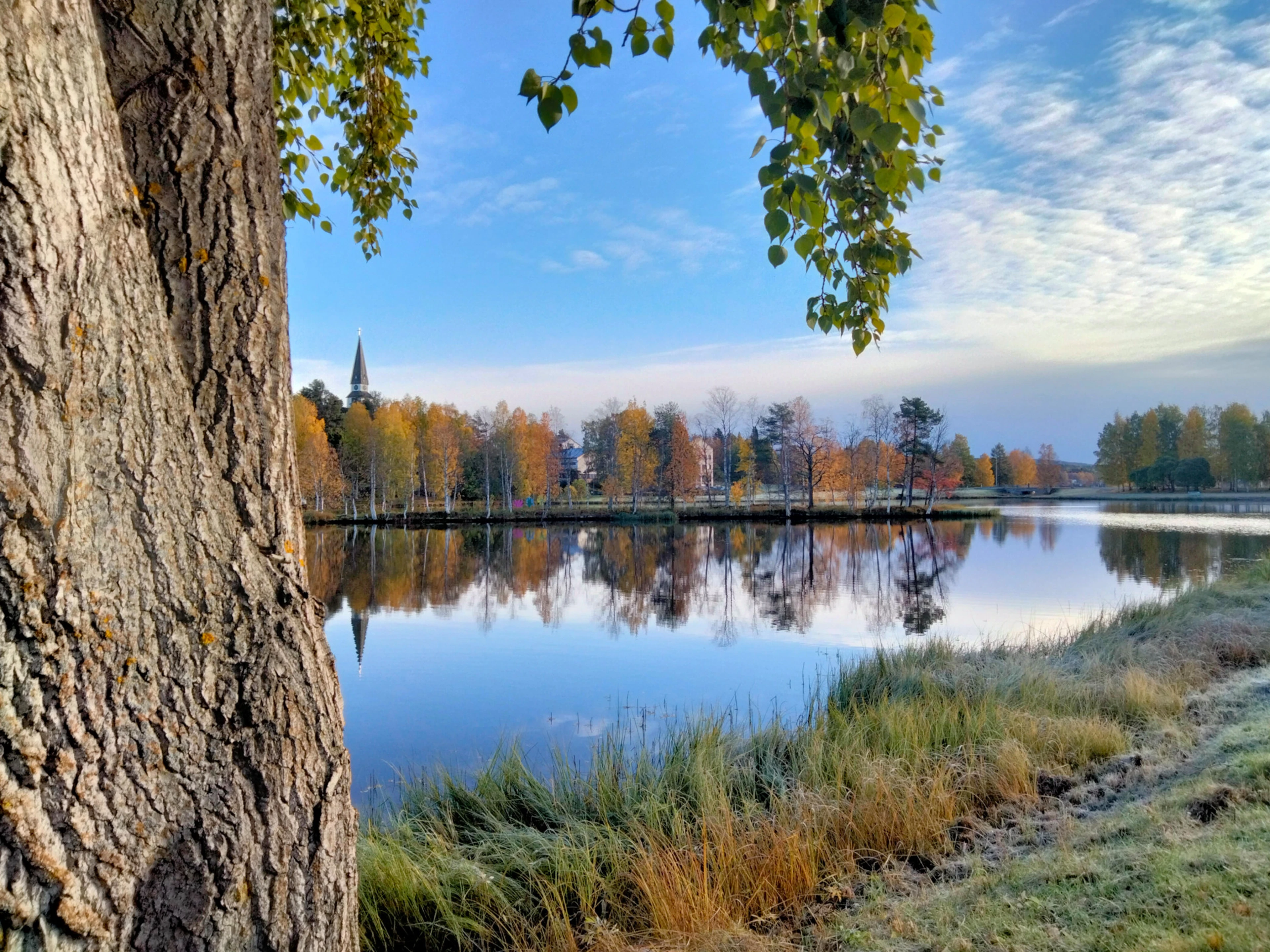 Järvimaisema syksyllä, jossa koivunrunko etualalla, värikkäitä puita ja kirkontorni rannan takana.