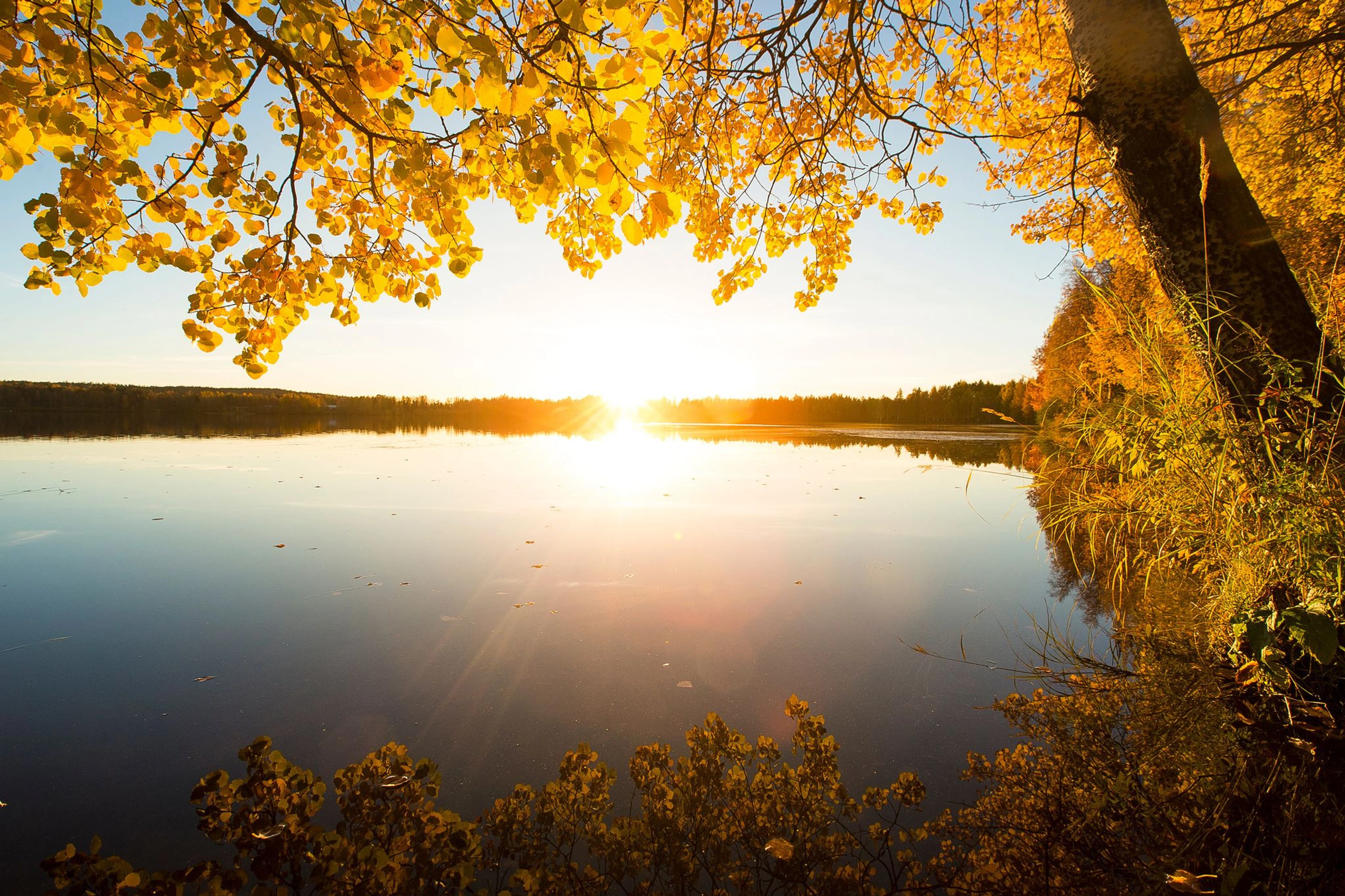 Kuva aurinkoisesta järvinäkymästä, jota reunustaa keltaiset lehtipuut