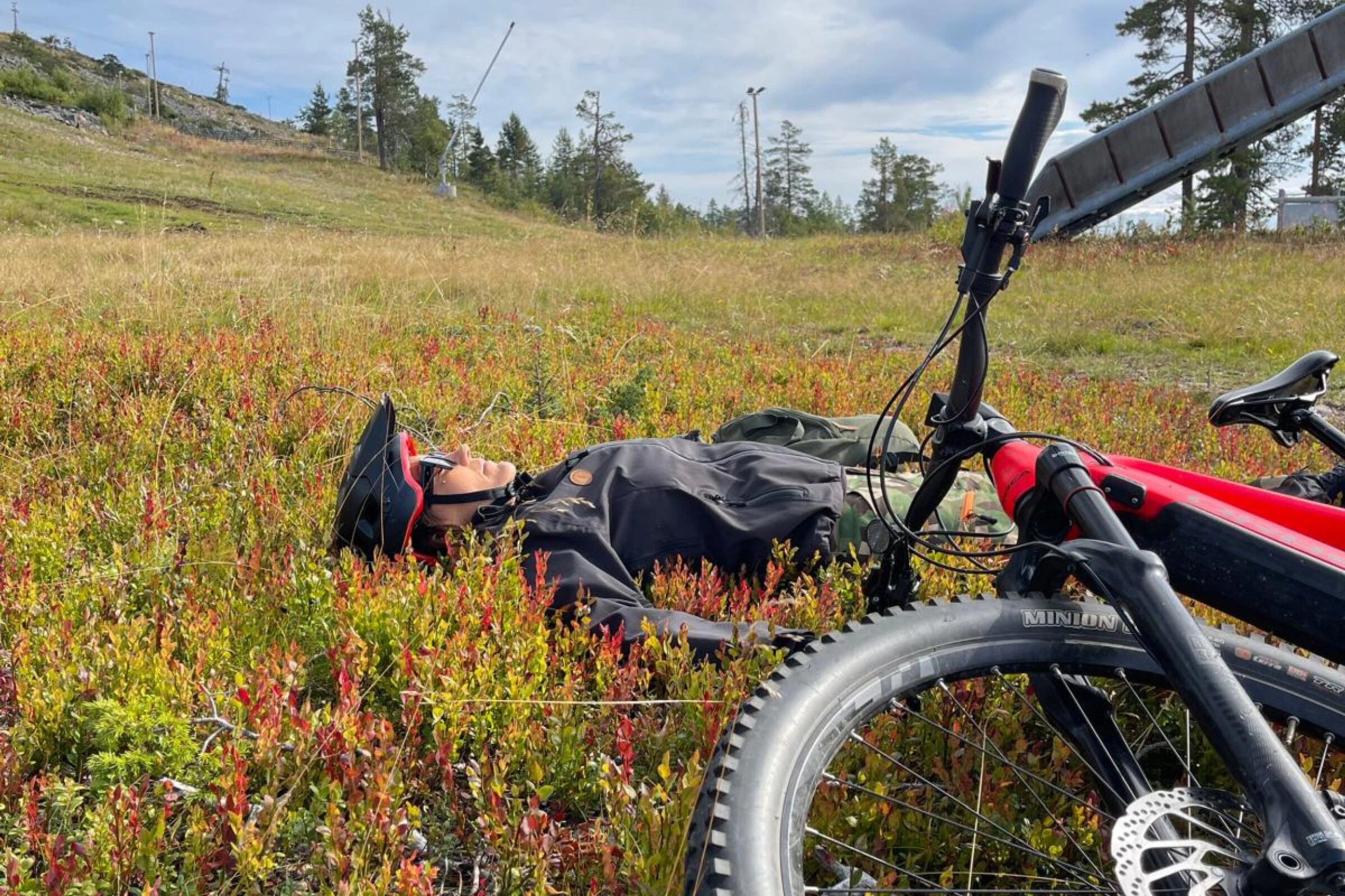 Pyöräilijä lepäämässä värikkäiden syksyisten mustikanvarpujen keskellä tunturissa, punainen maastopyörä vieressä.