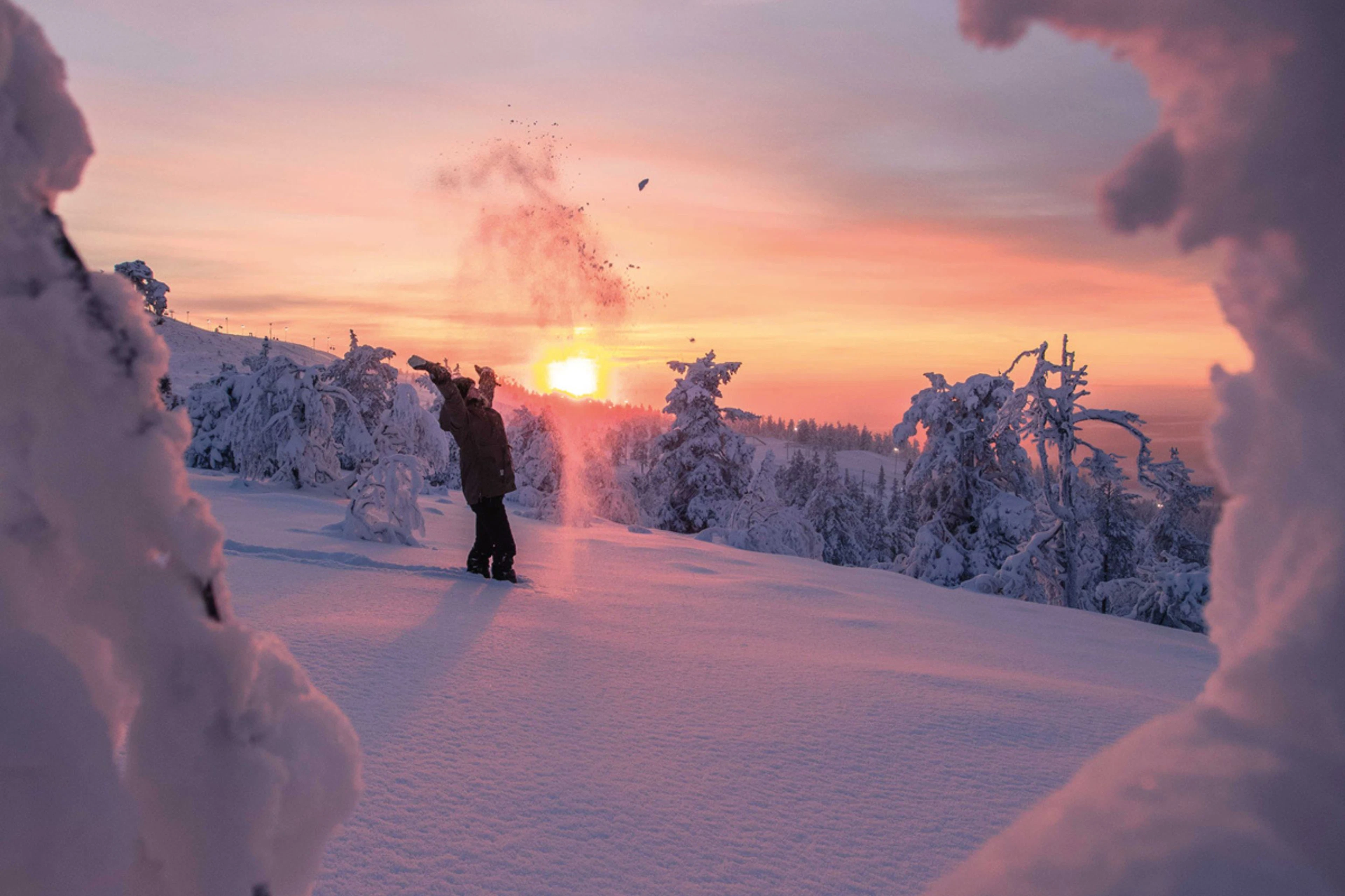 Joululahja luonnolle