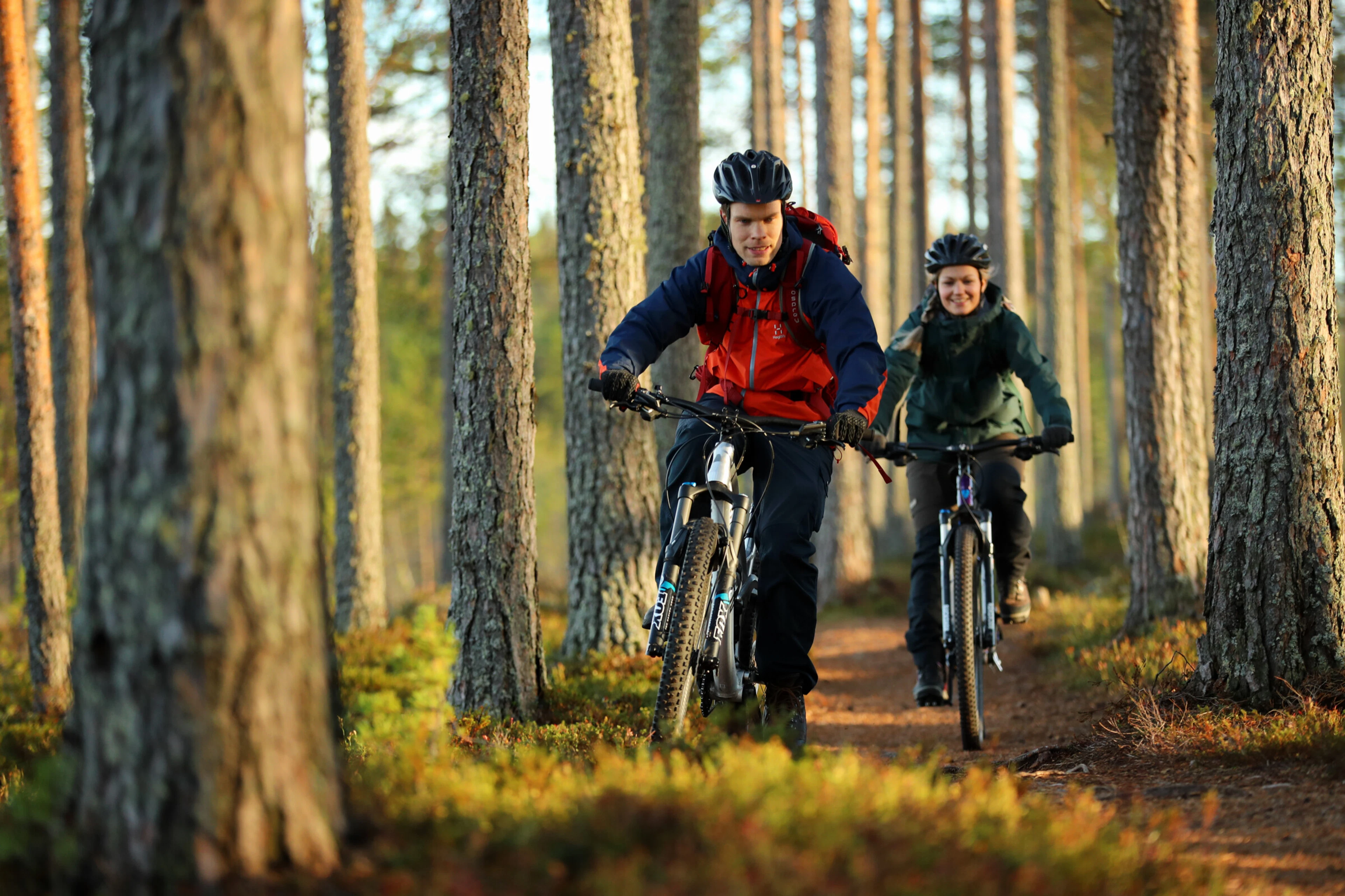 Kaksi pyöräilijää ajaa maastopyörillä mäntymetsän läpi kulkevalla polulla. Molemmat käyttävät pyöräilykypäriä ja ulkoiluvaatteita.