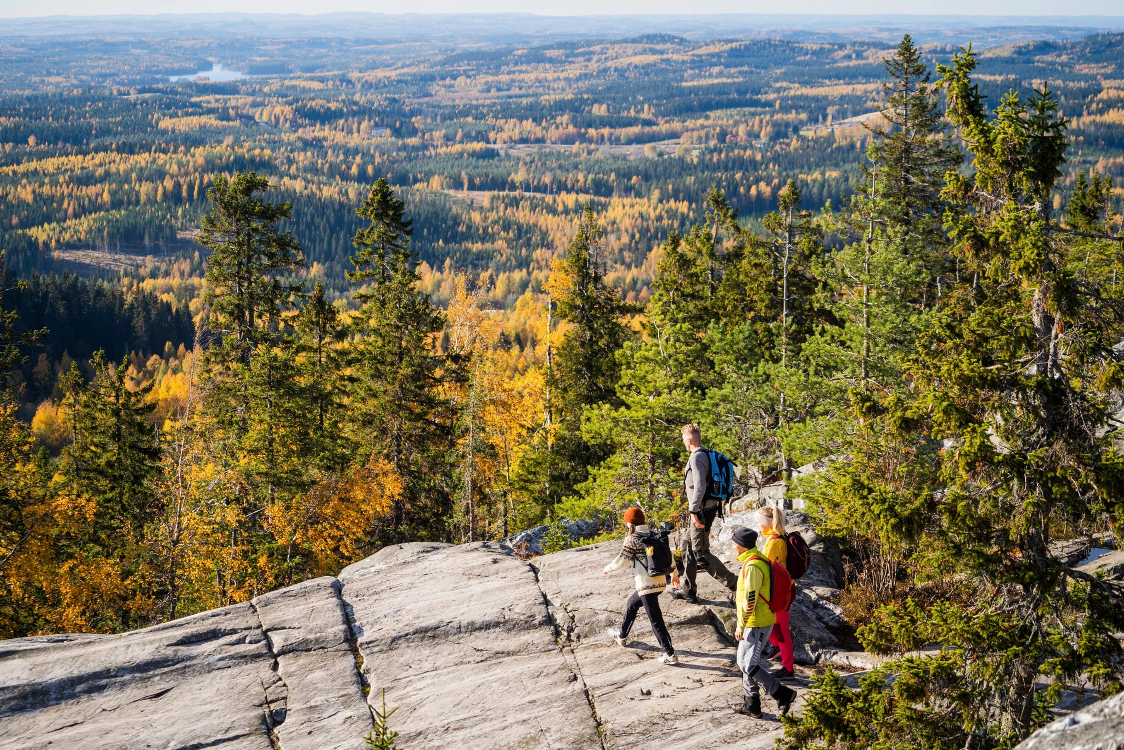 Koli syksy Akka-Koli