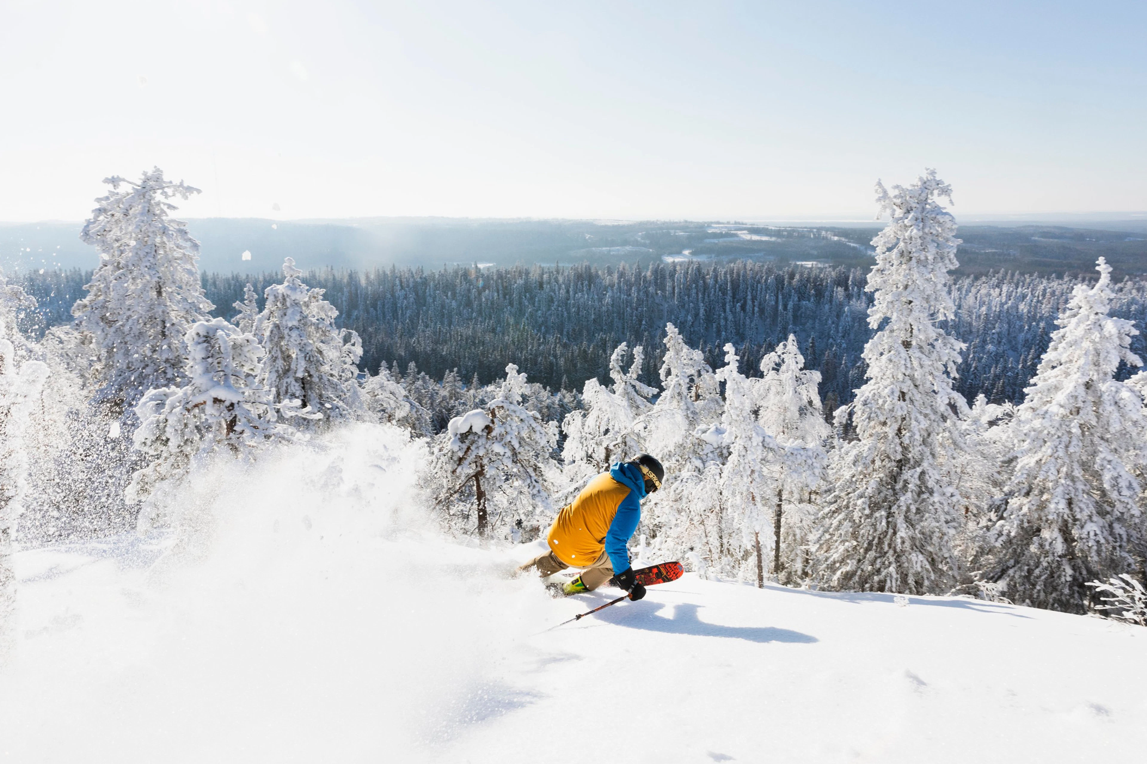 Henkilö laskettelamassa Koli Skin rinteissä