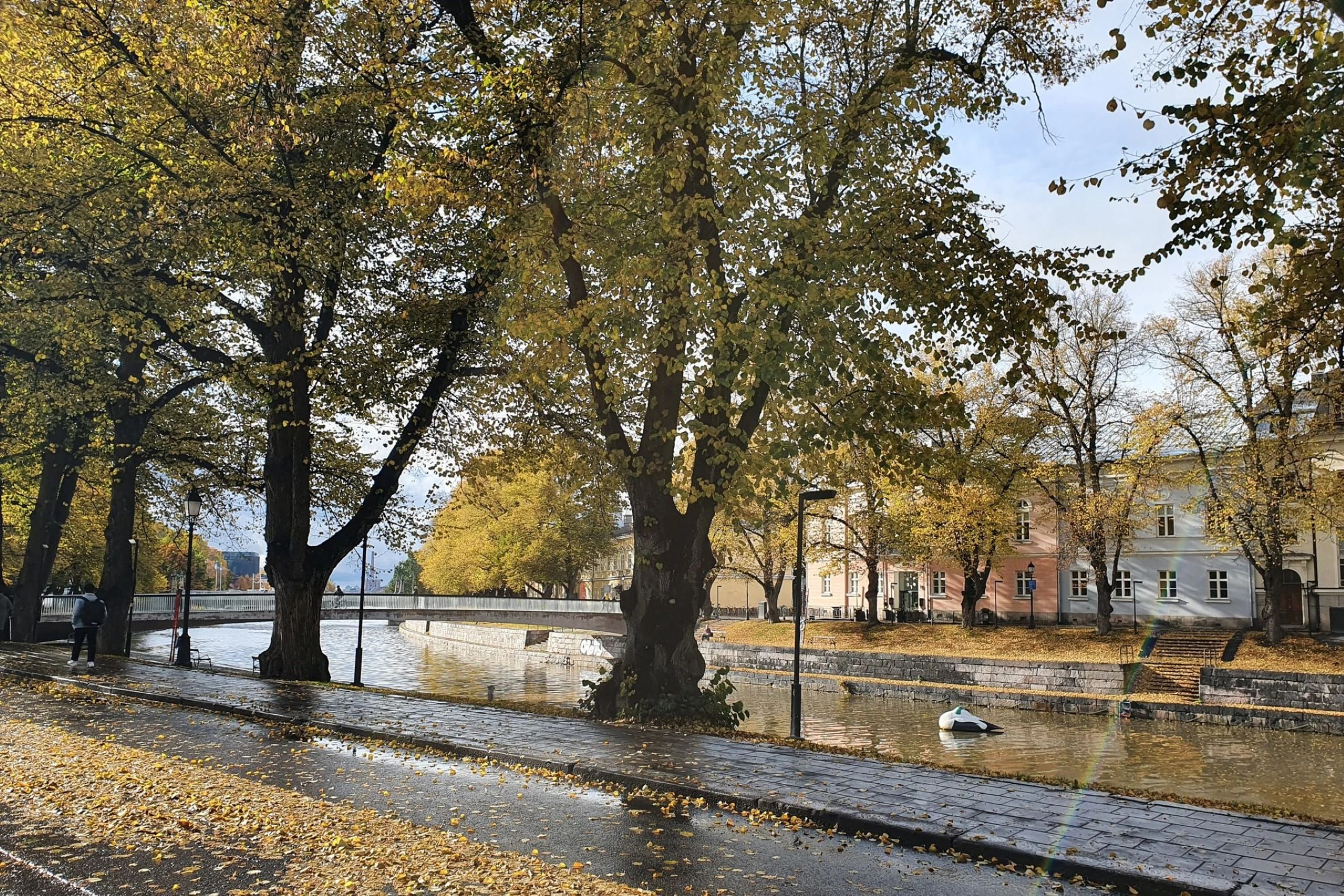 Magni Mundi kävelykierrokset Turku jokiranta, aurajoki syksyllä