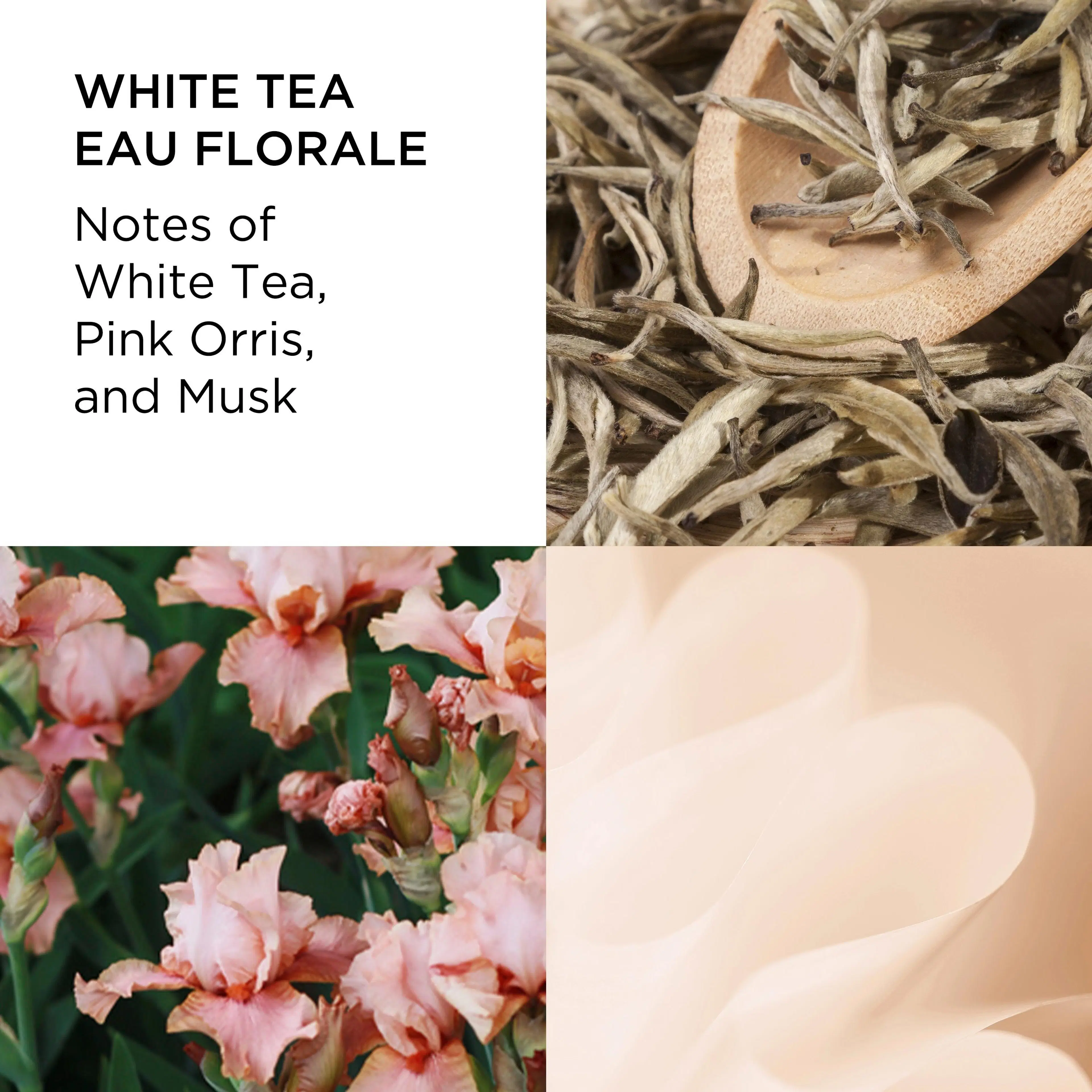 Elizabeth Arden White Tea Eau Florale EdT tuoksu 50 ml