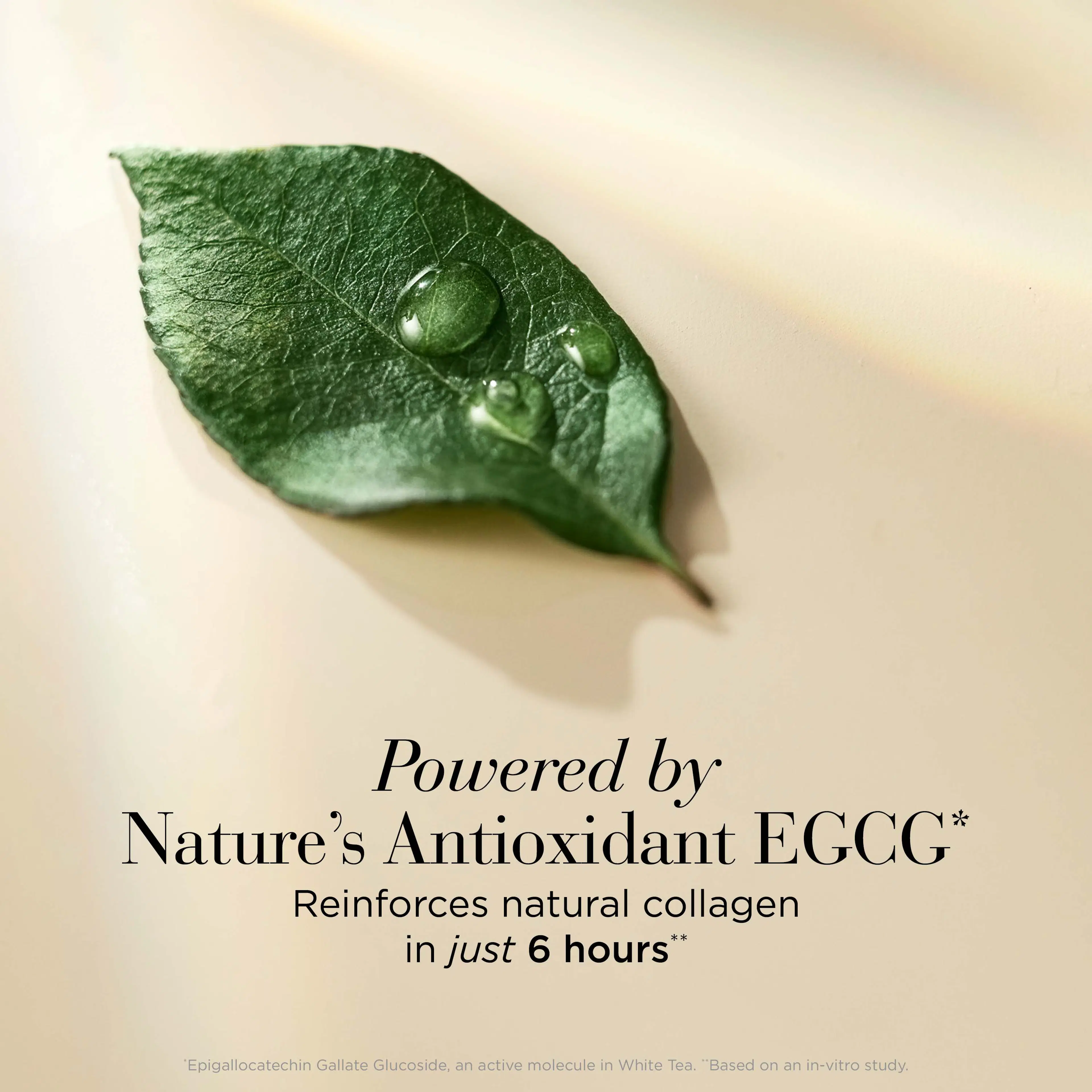 Elizabeth Arden White Tea Skin Solutions Moisture Infusing Bi-Phase Toning Lotion -kasvovesi 200 ml