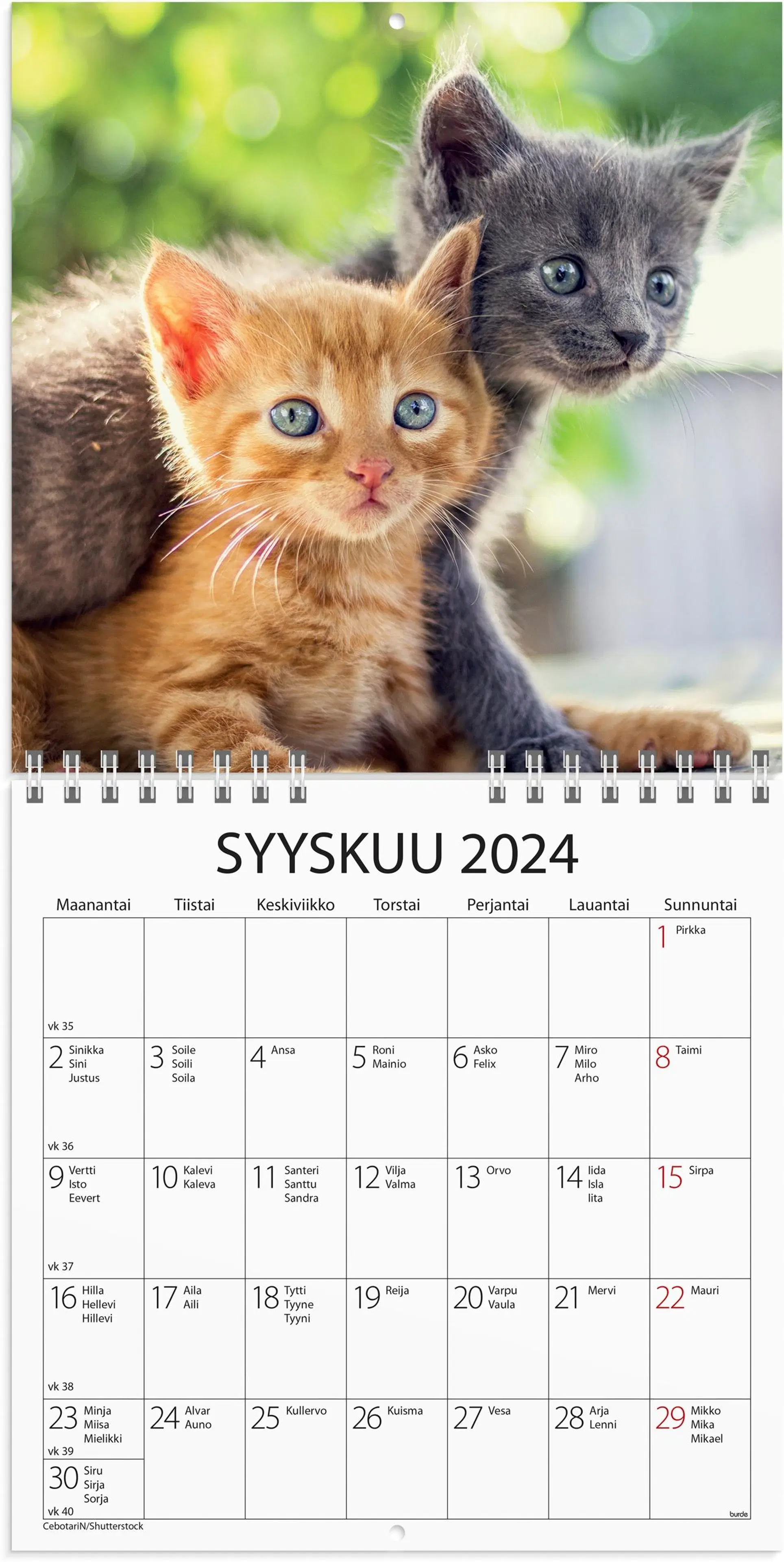 Burde seinäkalenteri 2024 Kissanpennut