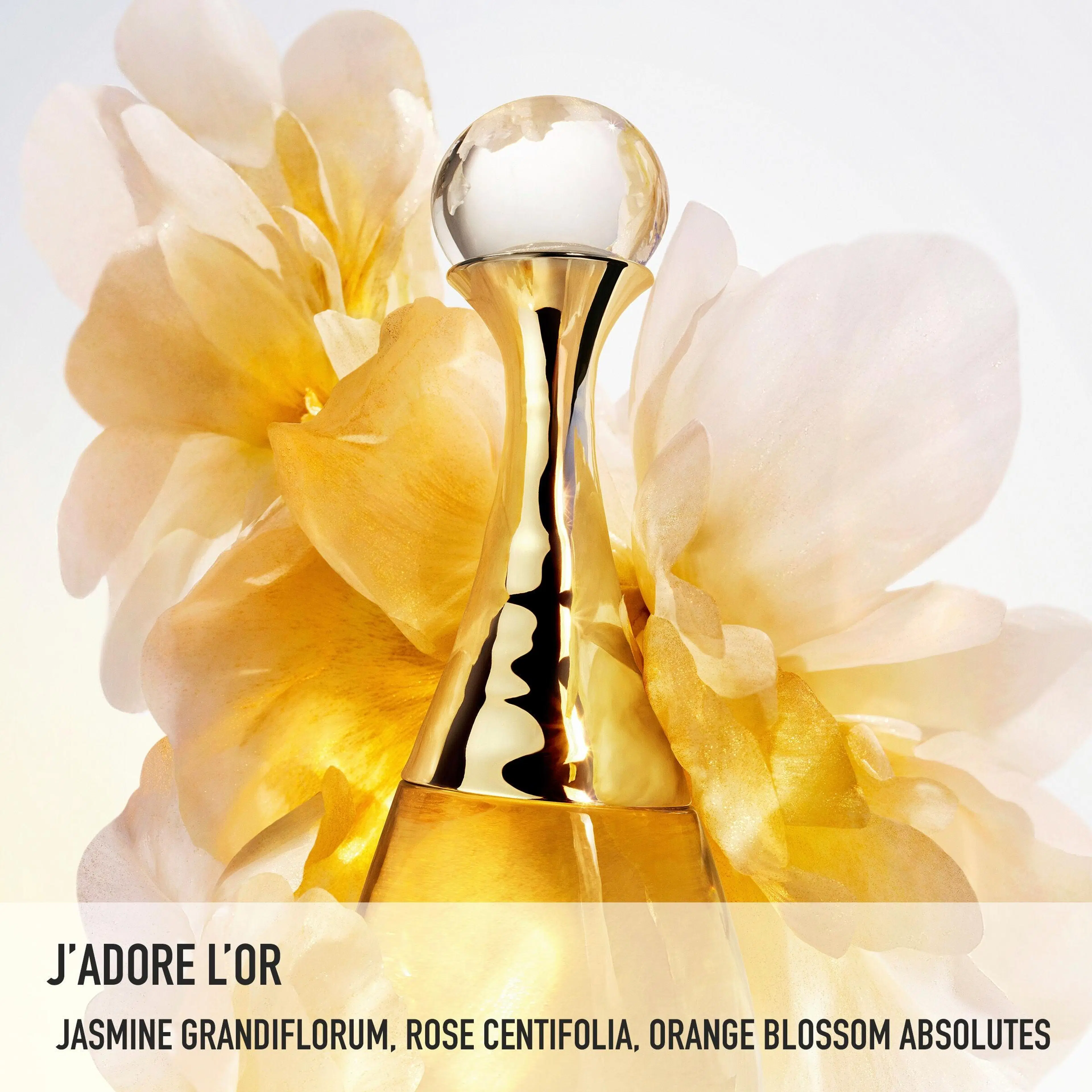 DIOR J'adore L'or Fragrance with Floral Notes Essence de Parfum tuoksu 50 ml