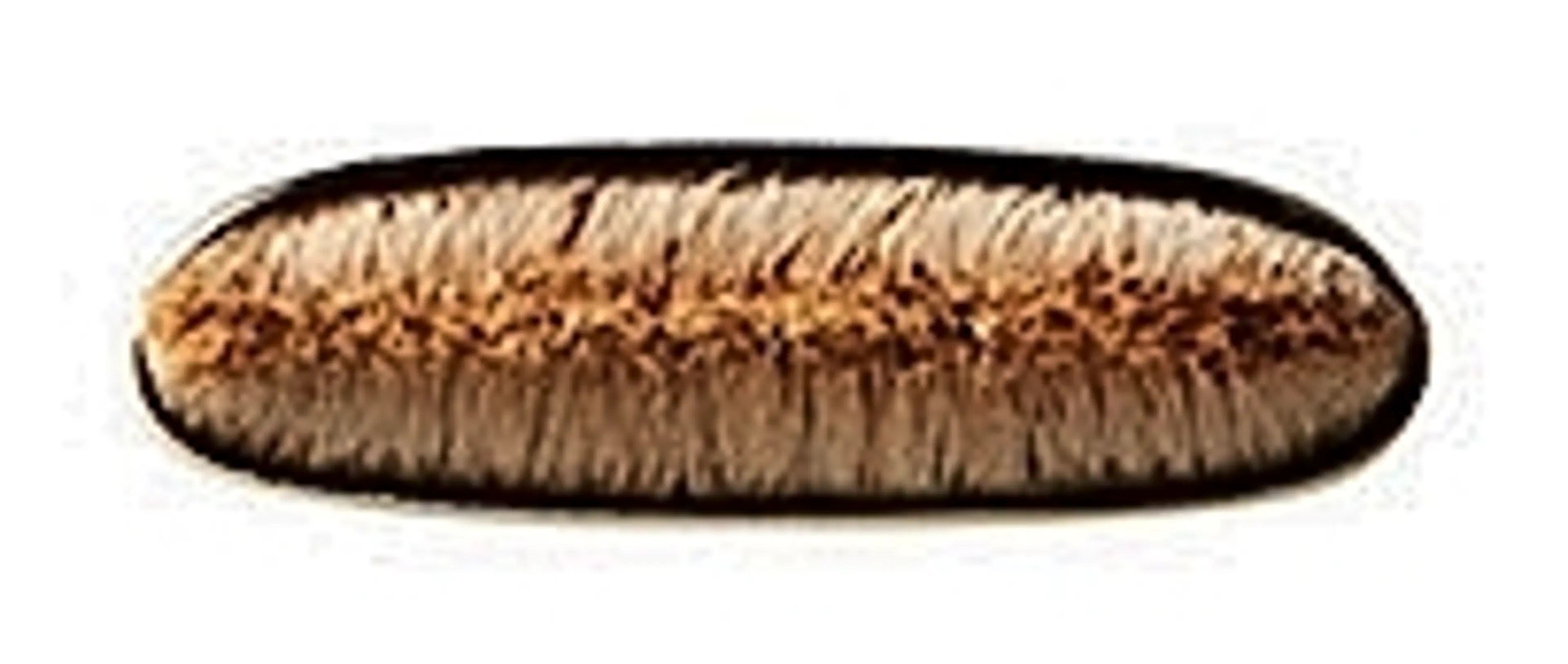 MAC Flat Definer Brush 212 sivellin