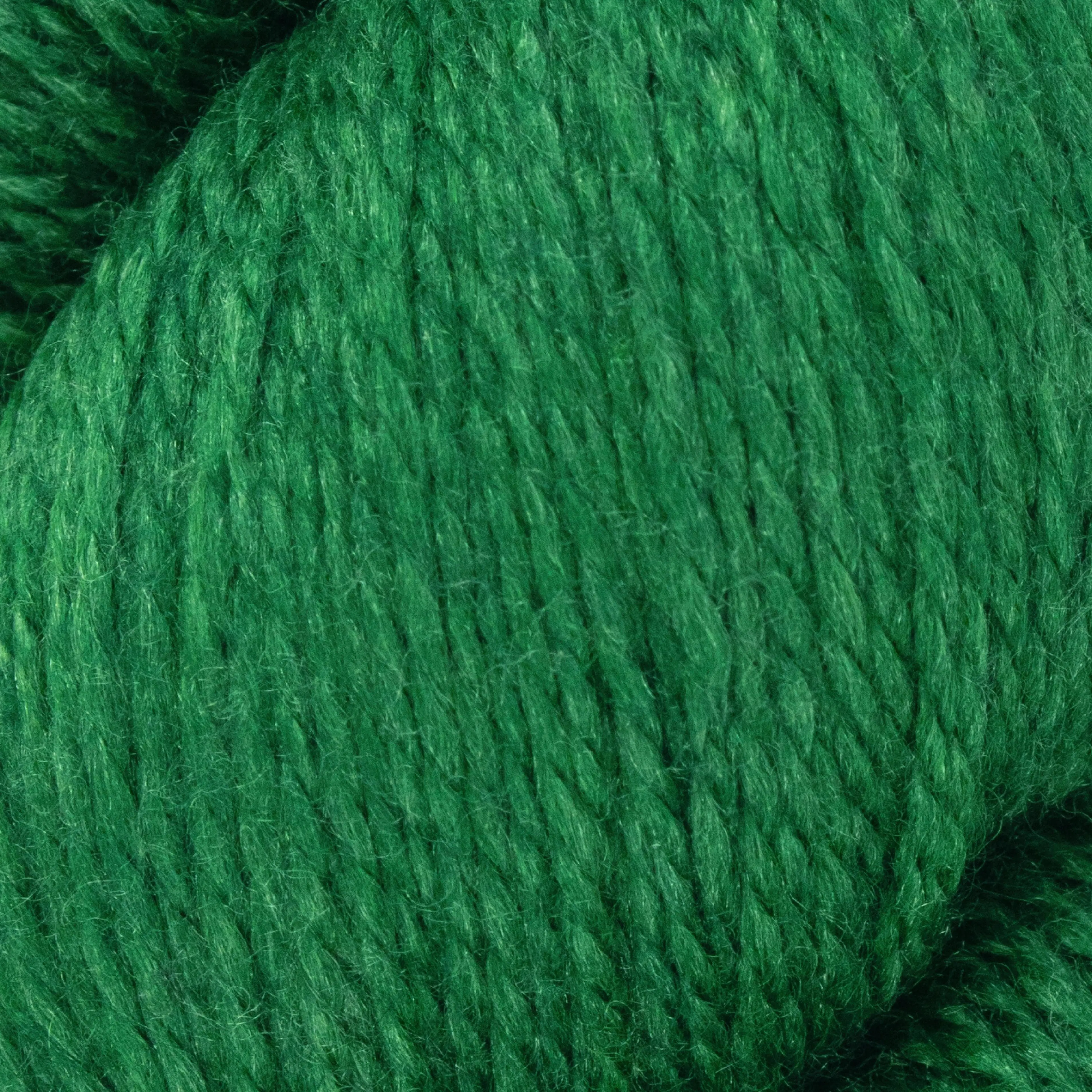 Exquisite 4PLY 100g Ivy 1130