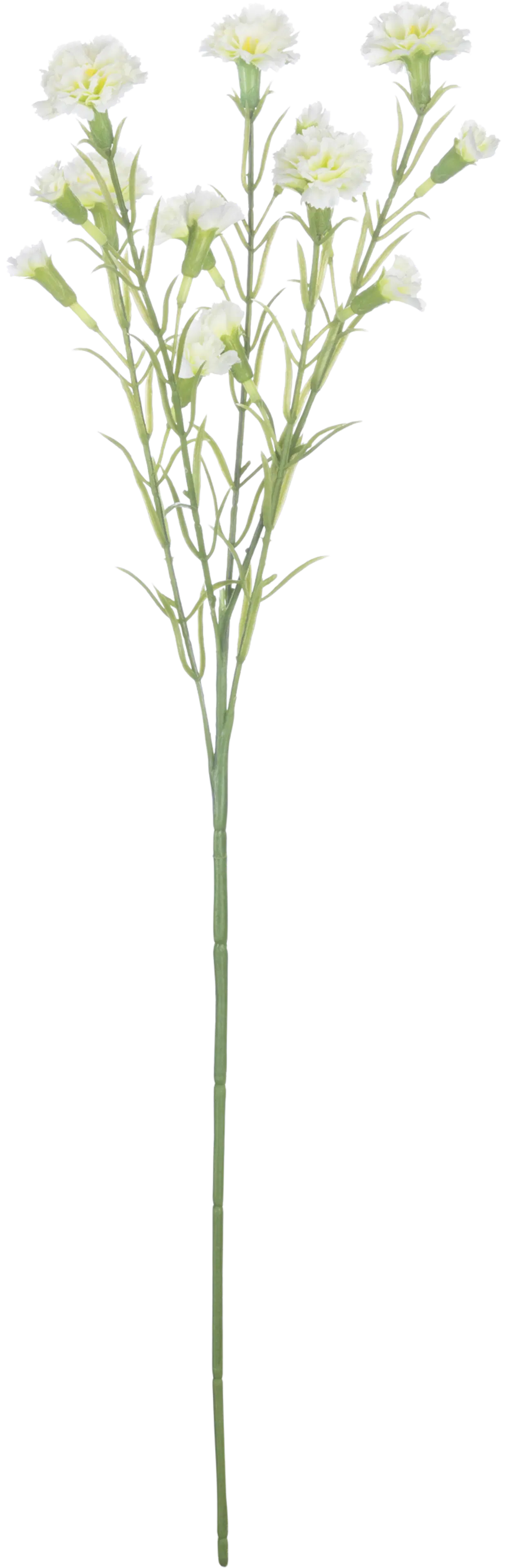 Pentik Neilikka koristekukka 63 cm, valkoinen