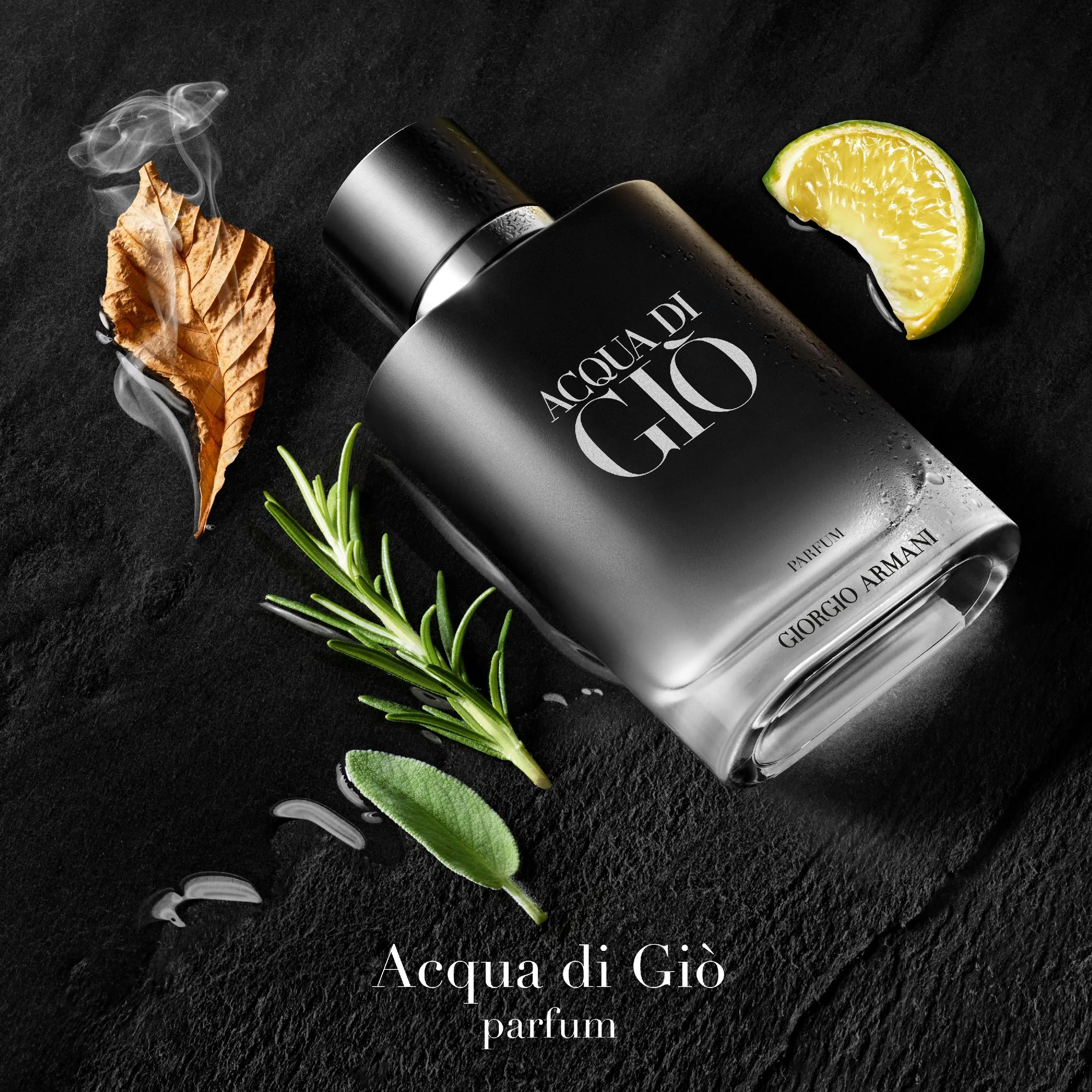 Giorgio Armani Acqua di Gio Parfum tuoksu 50 ml