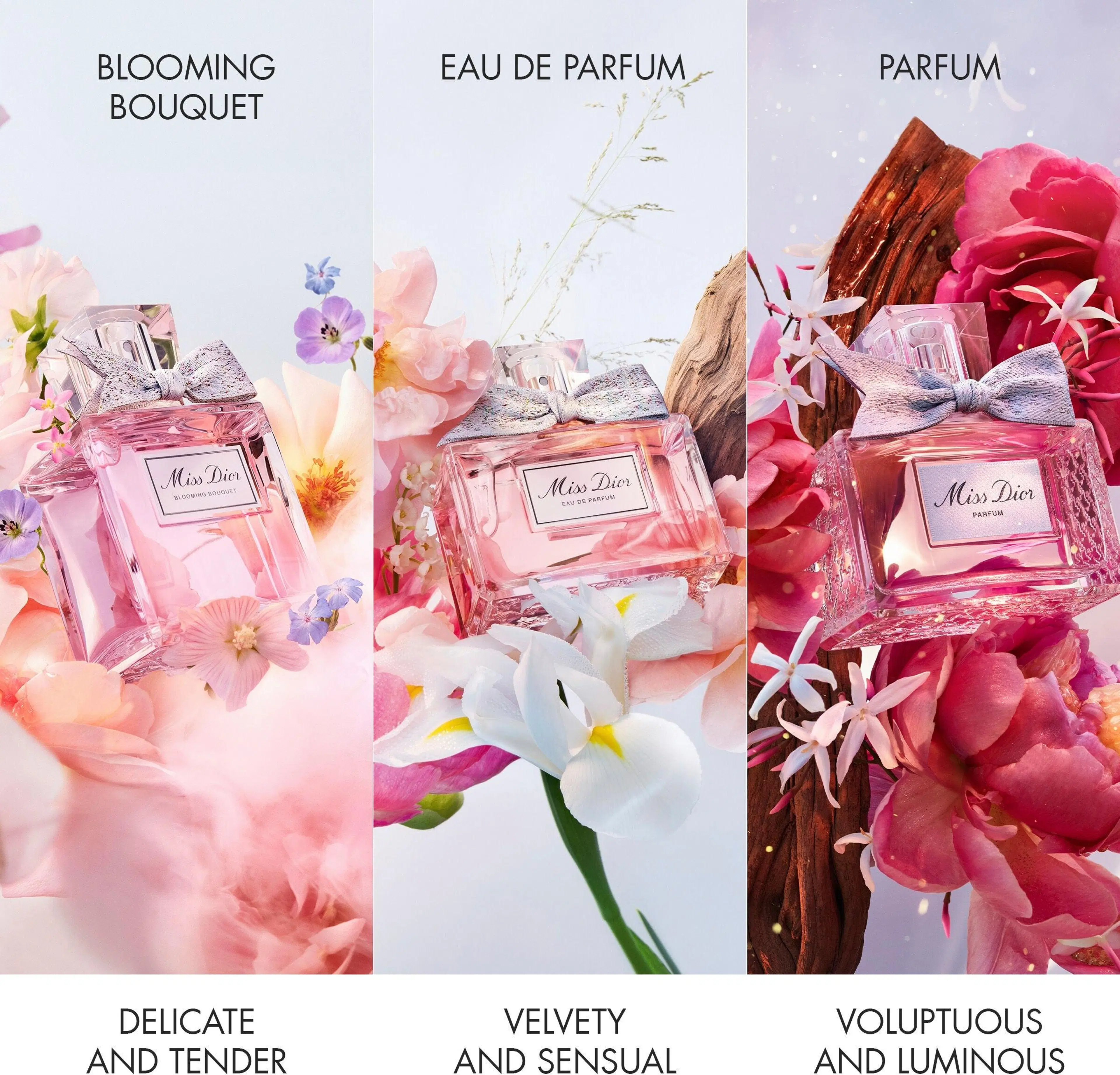 DIOR Miss Dior Blooming Bouquet EdT tuoksu 100 ml