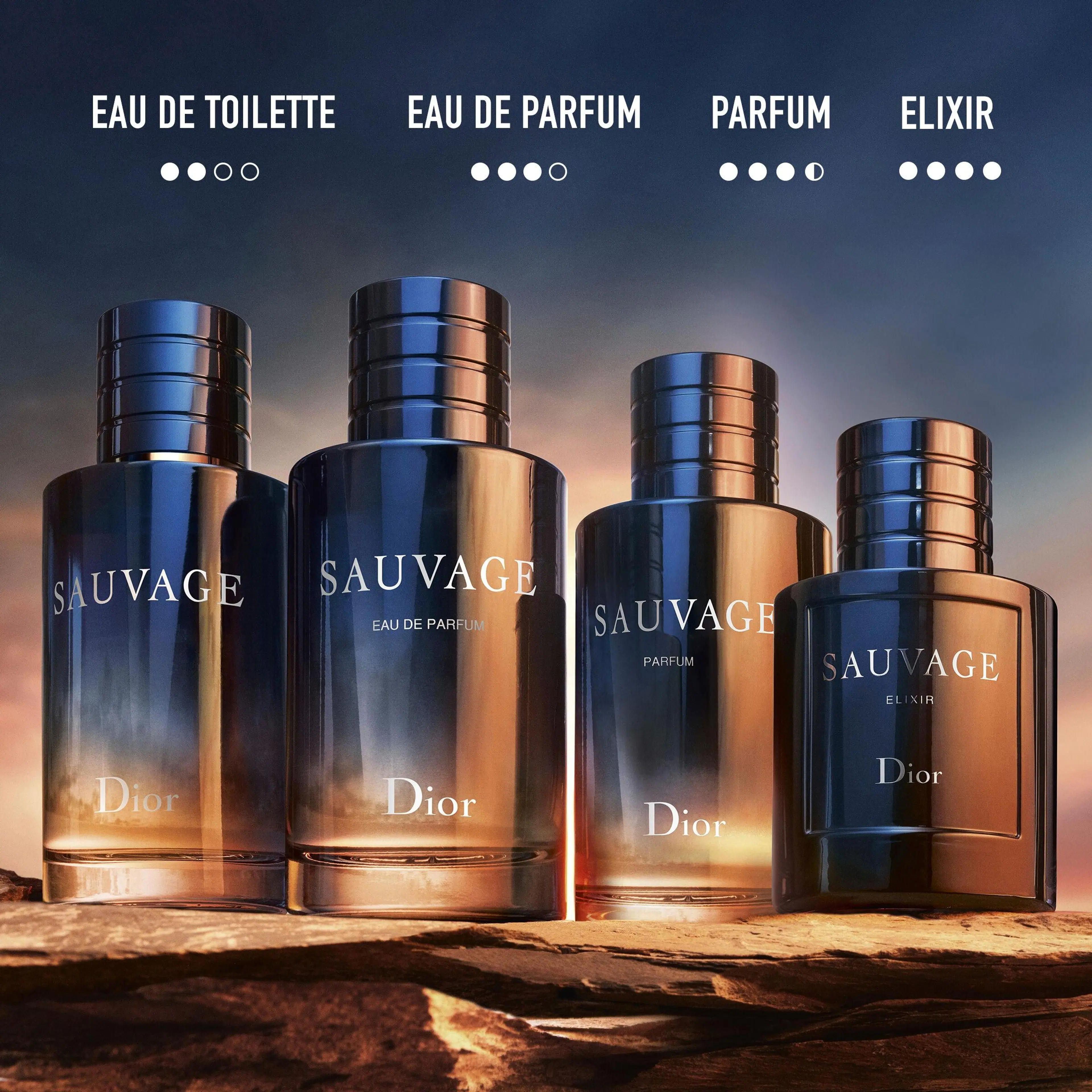 DIOR Sauvage Elixir EdP tuoksu 60 ml