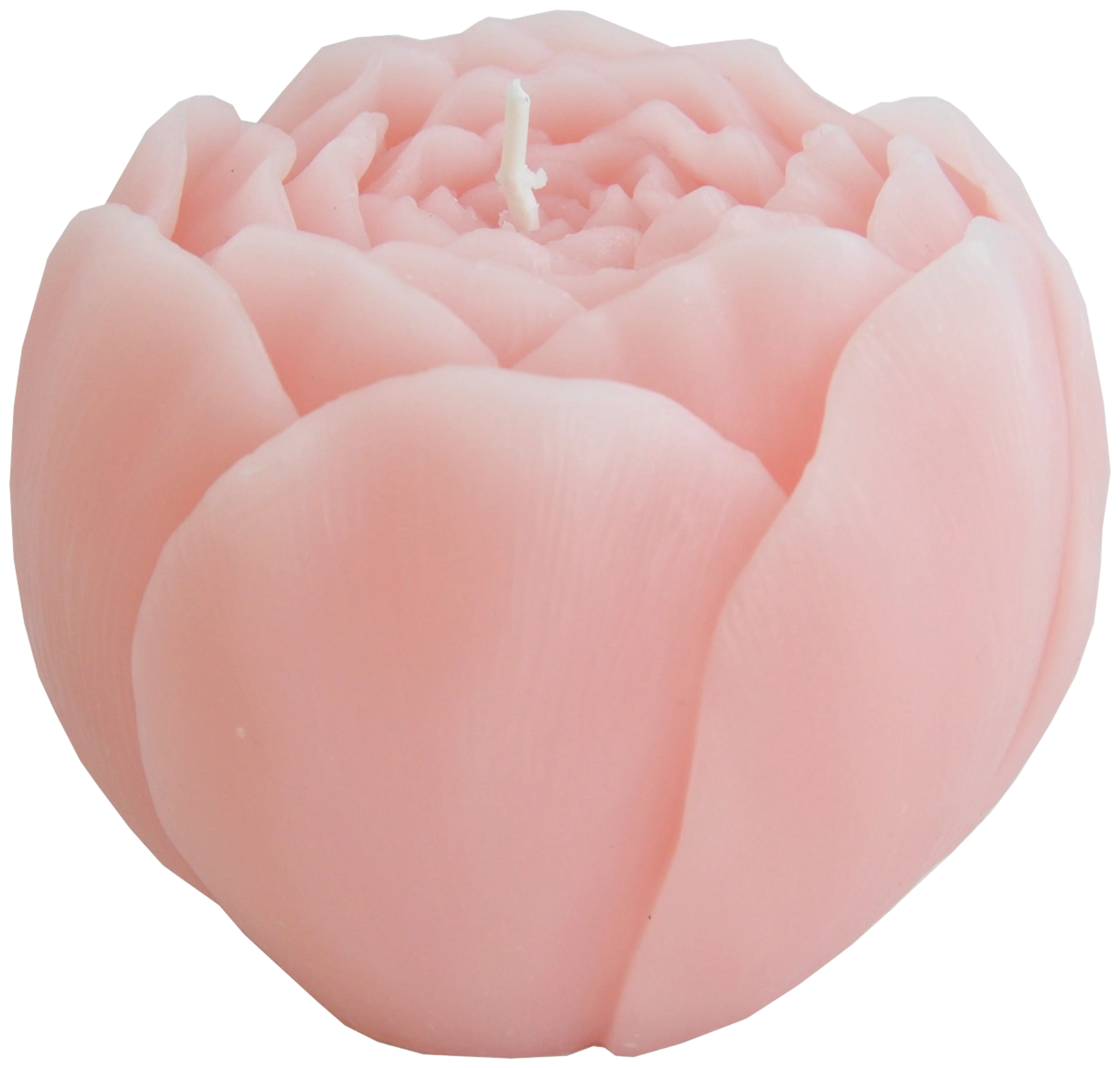 Kynttilä ruusu 7x7x6 cm vaal.pun.