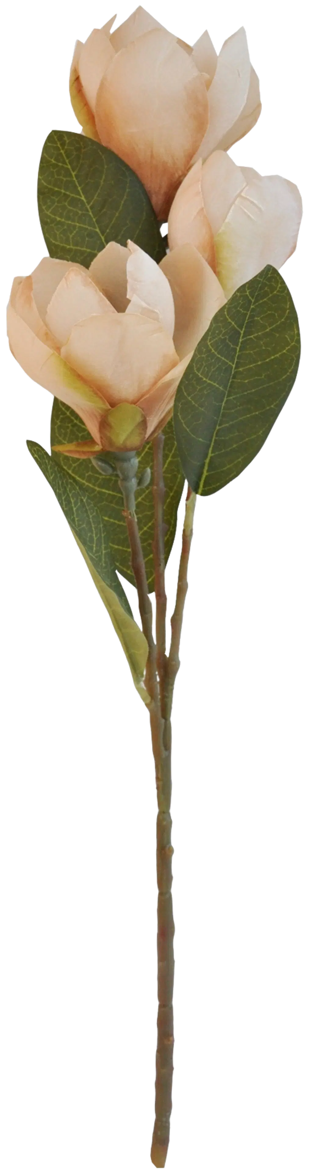 Finnmari Magnoliakimppu 18x25x56 cm