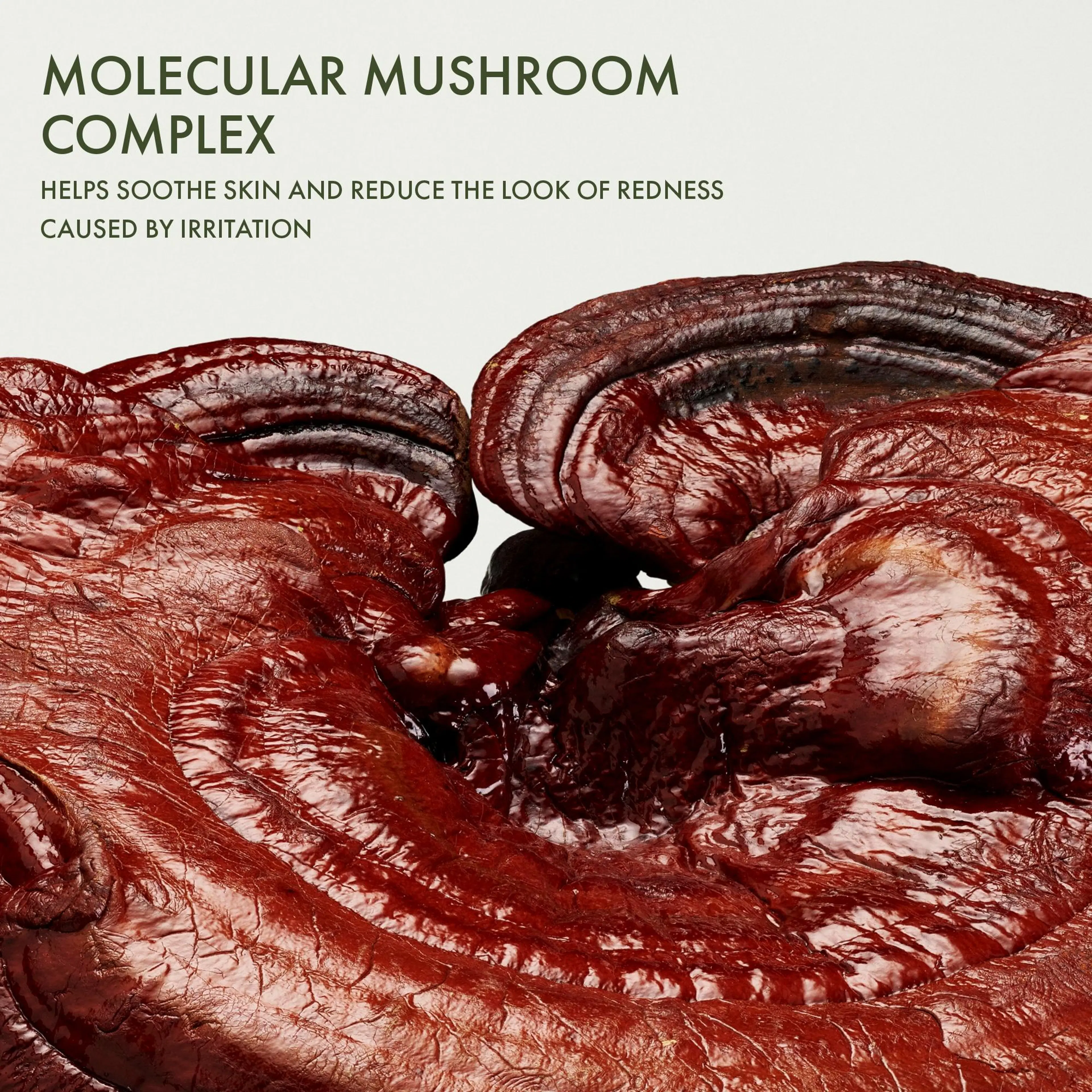 Origins Dr. Andrew Weil for Origin Mega-Mushroom Intensive Rescue Concentrate seerumi 30 ml