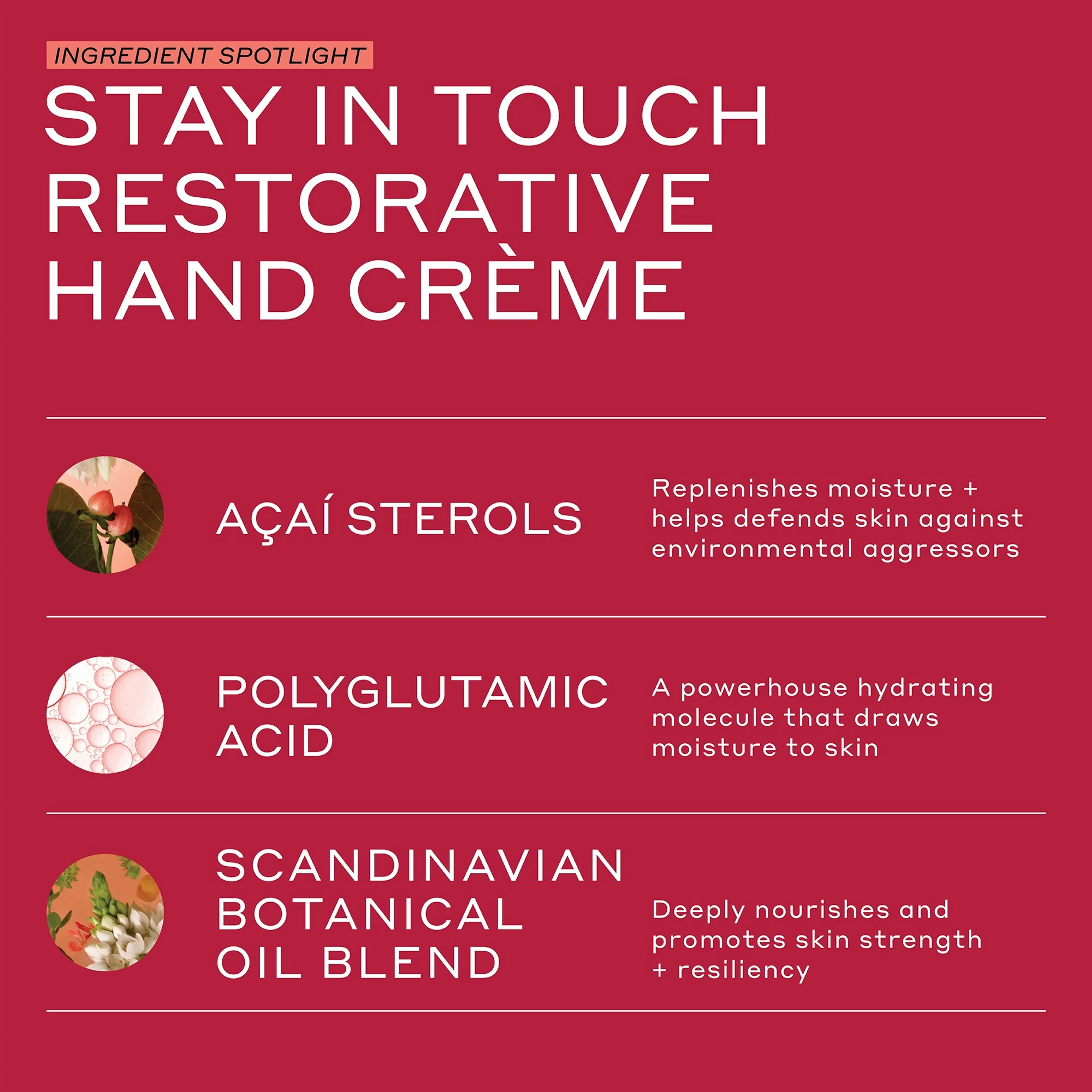 OleHenriksen Touch Stay in Touch Hand Cream käsivoide 75 ml