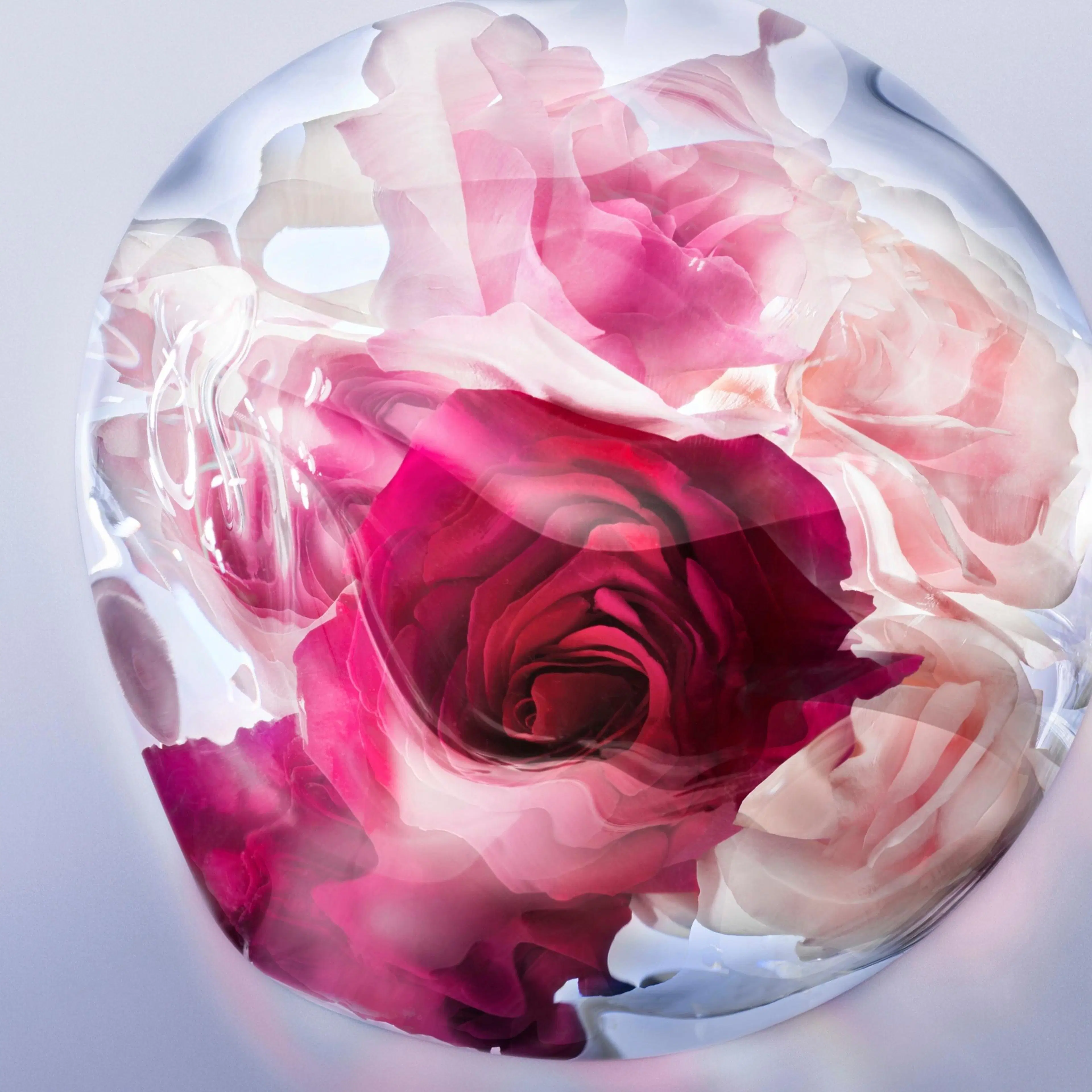 Lancôme La Vie est Belle Rose Extraordinaire EdP tuoksu 30 ml