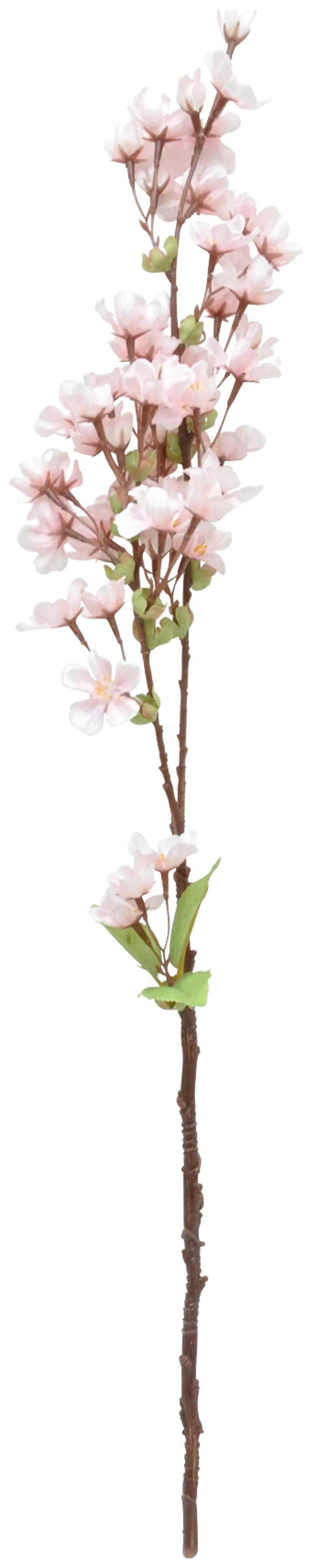 Kirsikkaoksa 59cm vaaleanpunainen