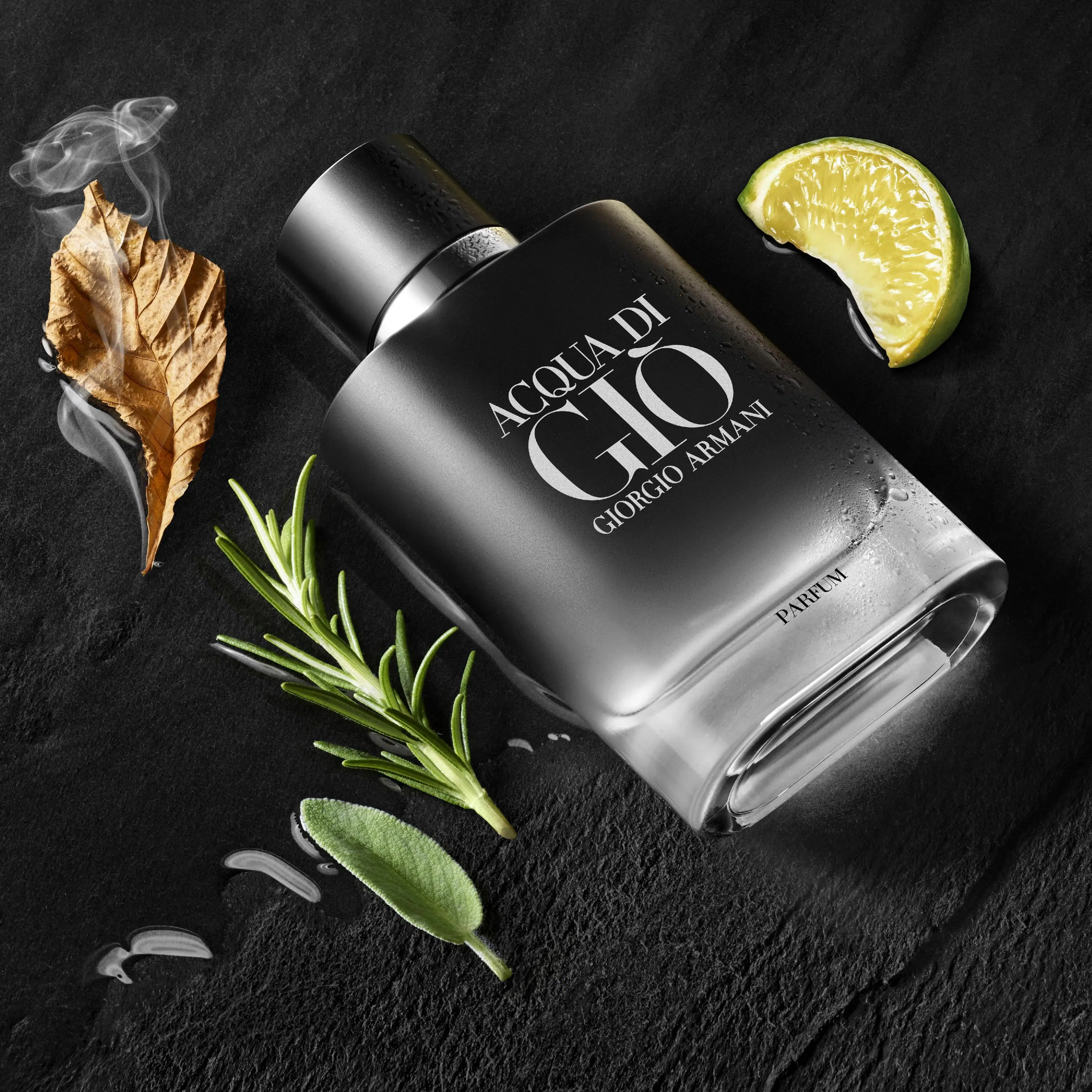 Giorgio Armani Acqua di GiÒ Parfum tuoksu 75 ml