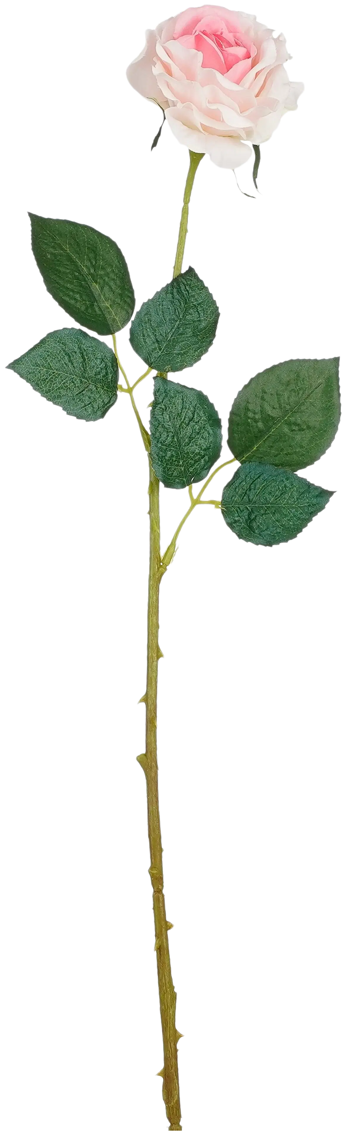 Mica Koristeoksa Ruusu vaaleanpunainen 52cm