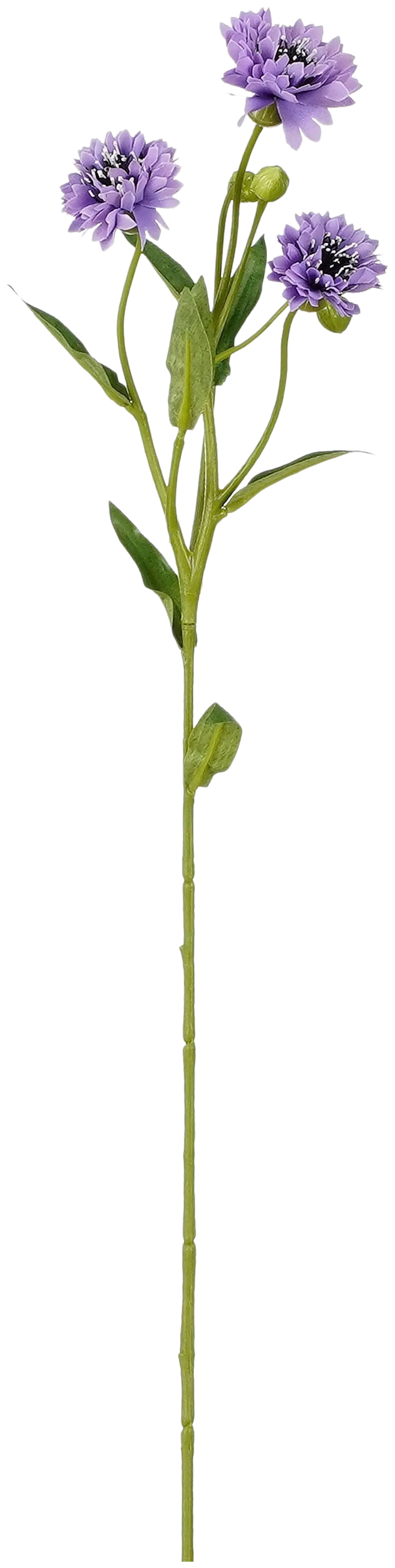 Mica Koristeoksa Neilikka lila 62cm