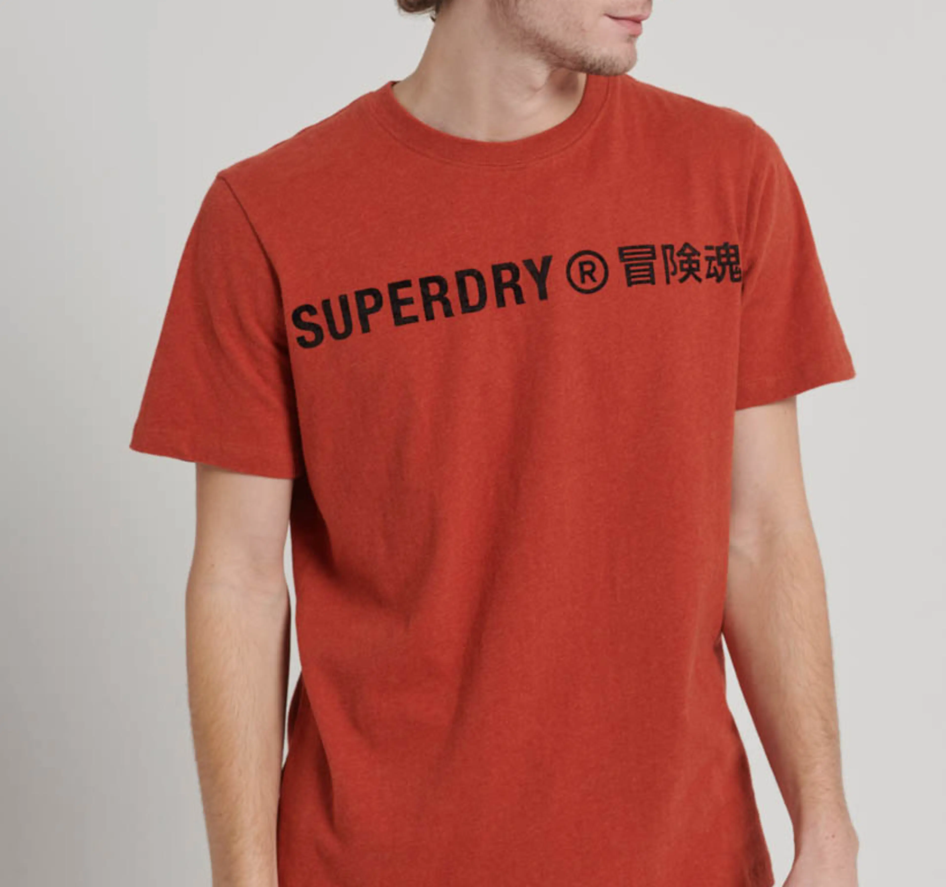 Superdry Workwear logo t-paita