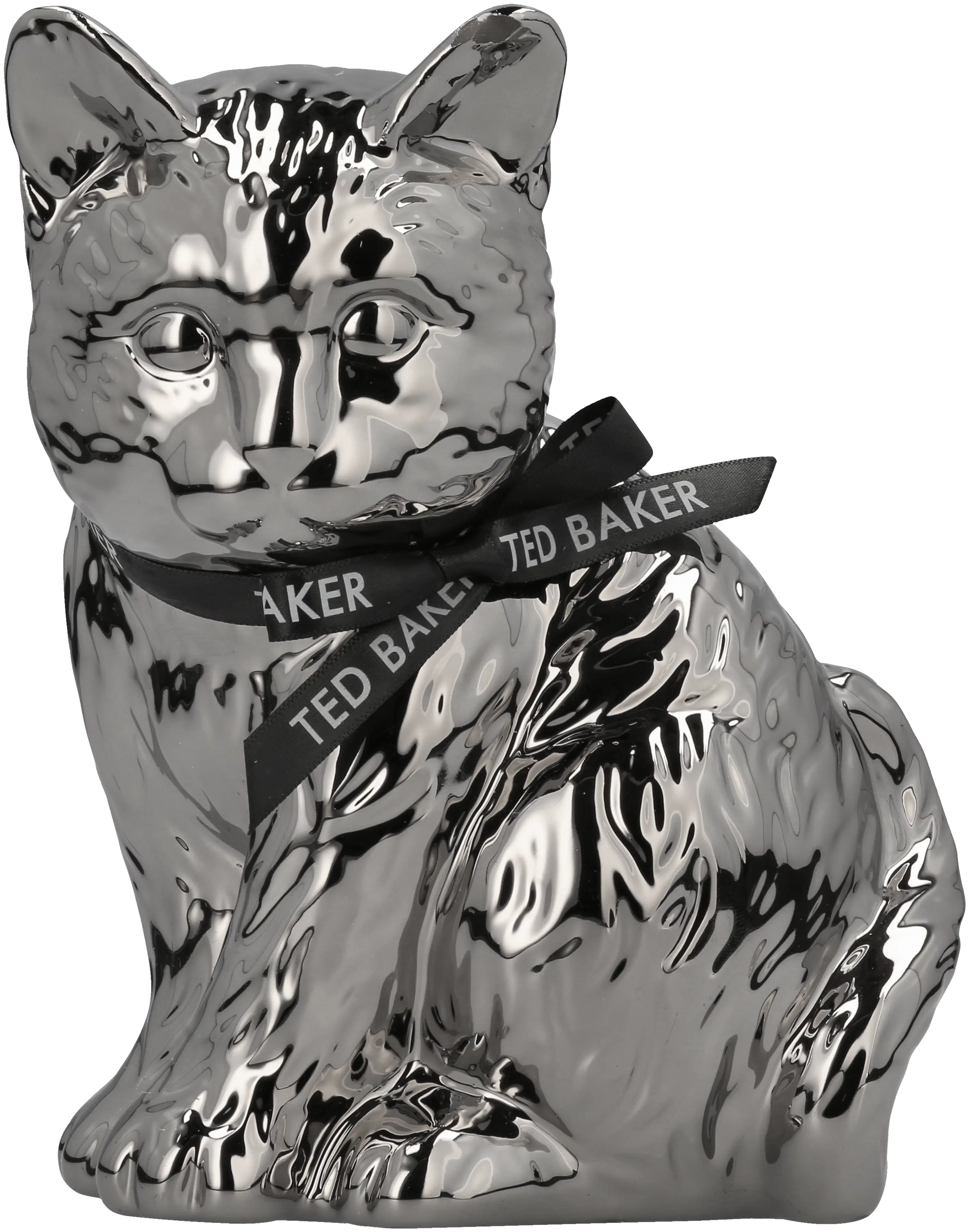 Ted Baker Mrvivo kissa pankki