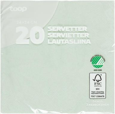 Salvrätik Coop Pistachio 33cm