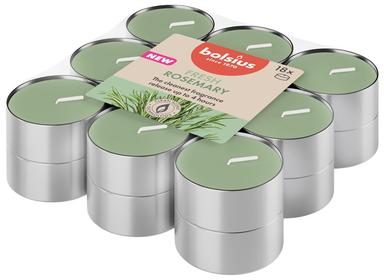 Teeküünal Bolsius Rosmariin 18tk