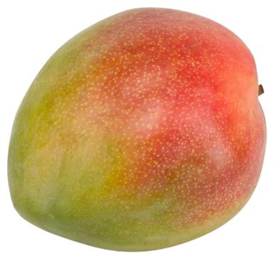 Mango Osteen