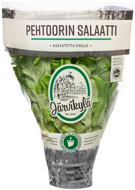 Pehtoorin salat