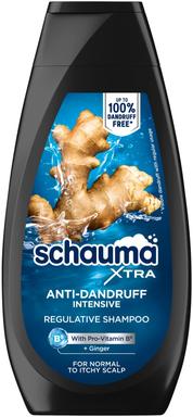 Schauma šampoon Men Anti-Dandruff Intensive 350ml