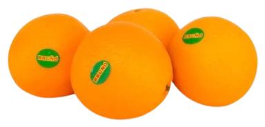 APELSIN BRUNO BERBERINA I KLASS