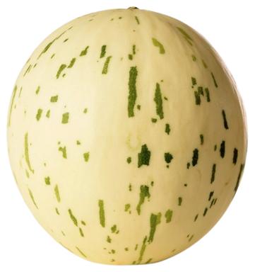 Melon Snowball